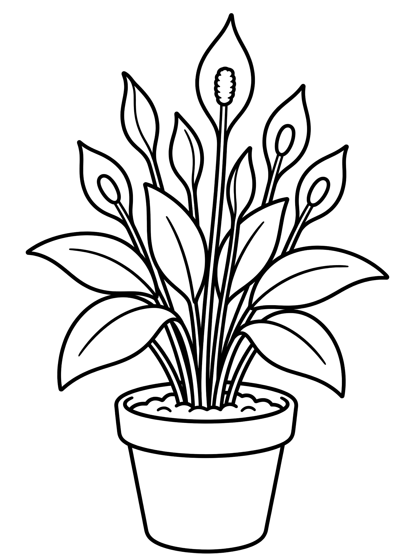 Black and white line art coloring page showing a cartoon peace lily plant with broad arching leaves and tall flower spathes growing from a simple round pot with soil.