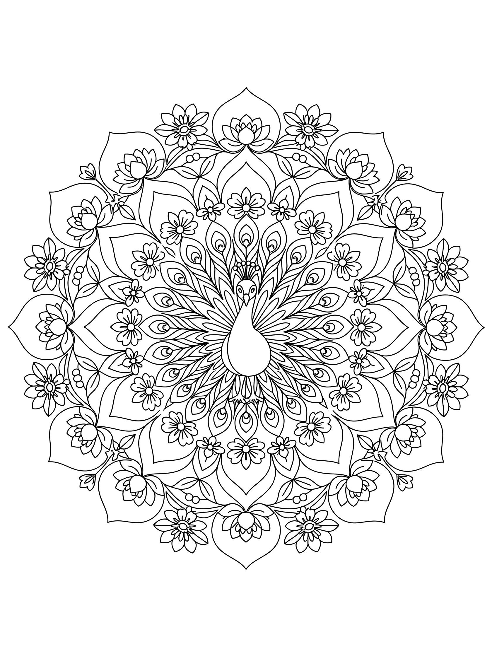 Black and white line art of a circular peacock mandala with feathers in the center surrounded by blooming flowers and vines.