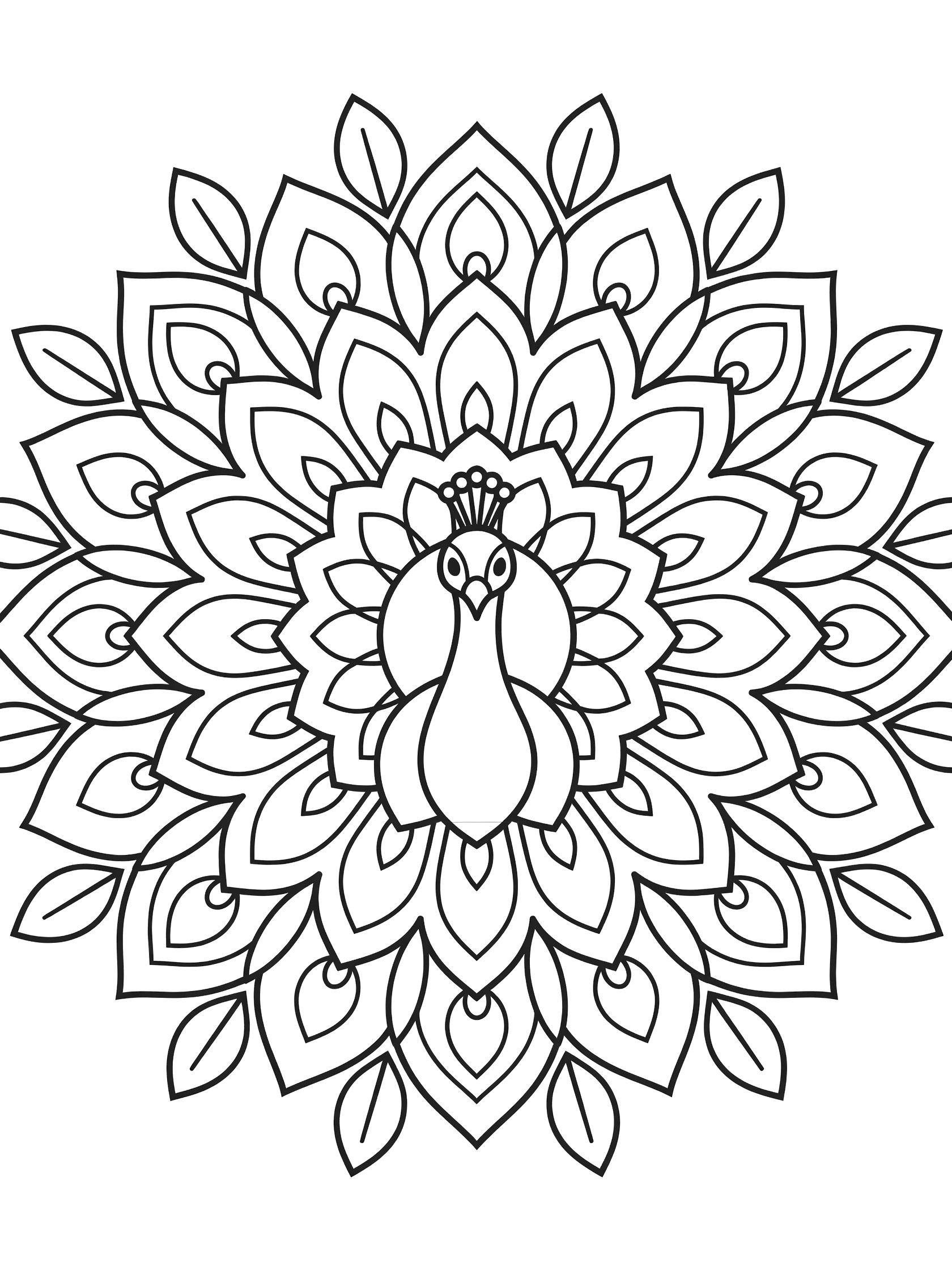 Black and white line art of a symmetrical peacock mandala with central peacock head, neck, crest, and repeating feather shapes around a circle with leaf accents.