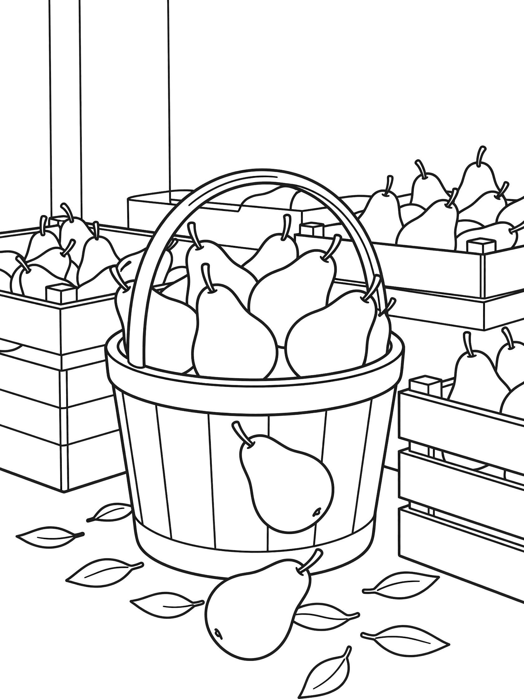 Black-and-white coloring page showing a wooden basket full of pears overflowing at a farm market stall, with one pear on the ground amid leaves and nearby fruit crates