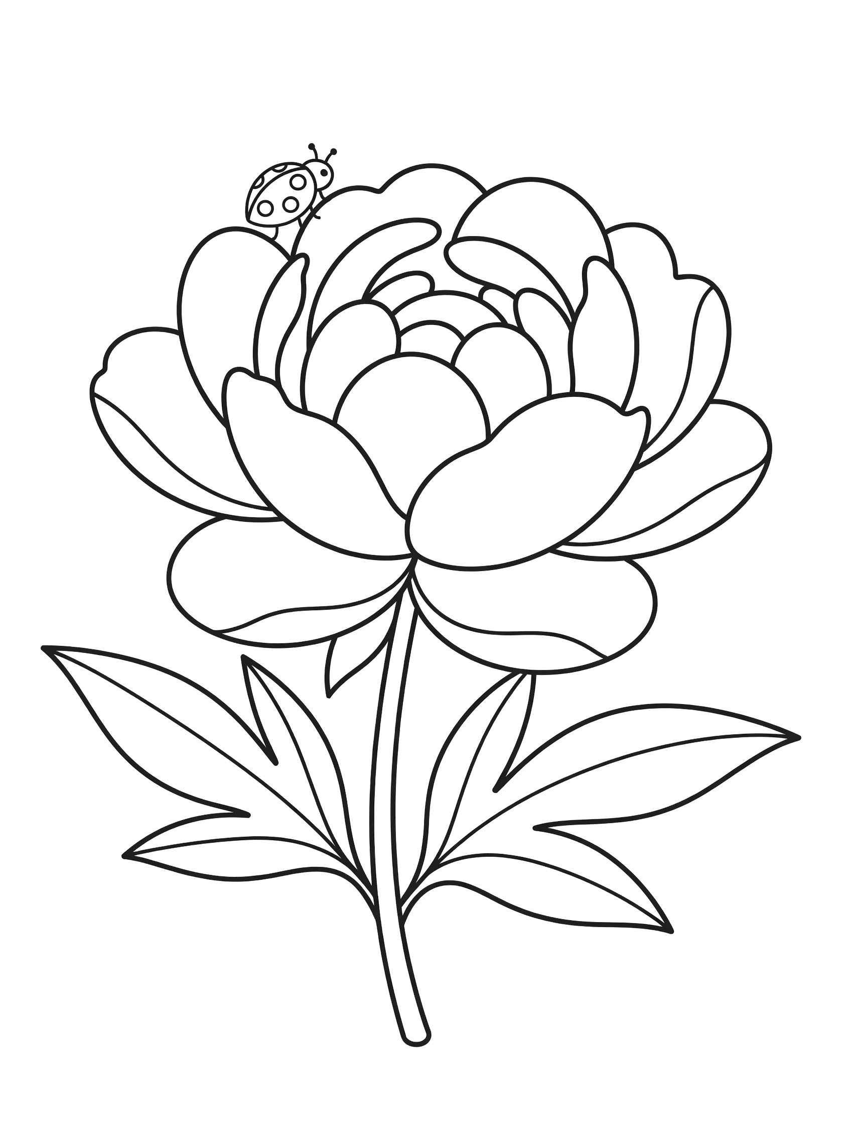 Black and white line art coloring page showing a large peony flower with layered petals, a ladybug on one petal, stem, and leaves on white background