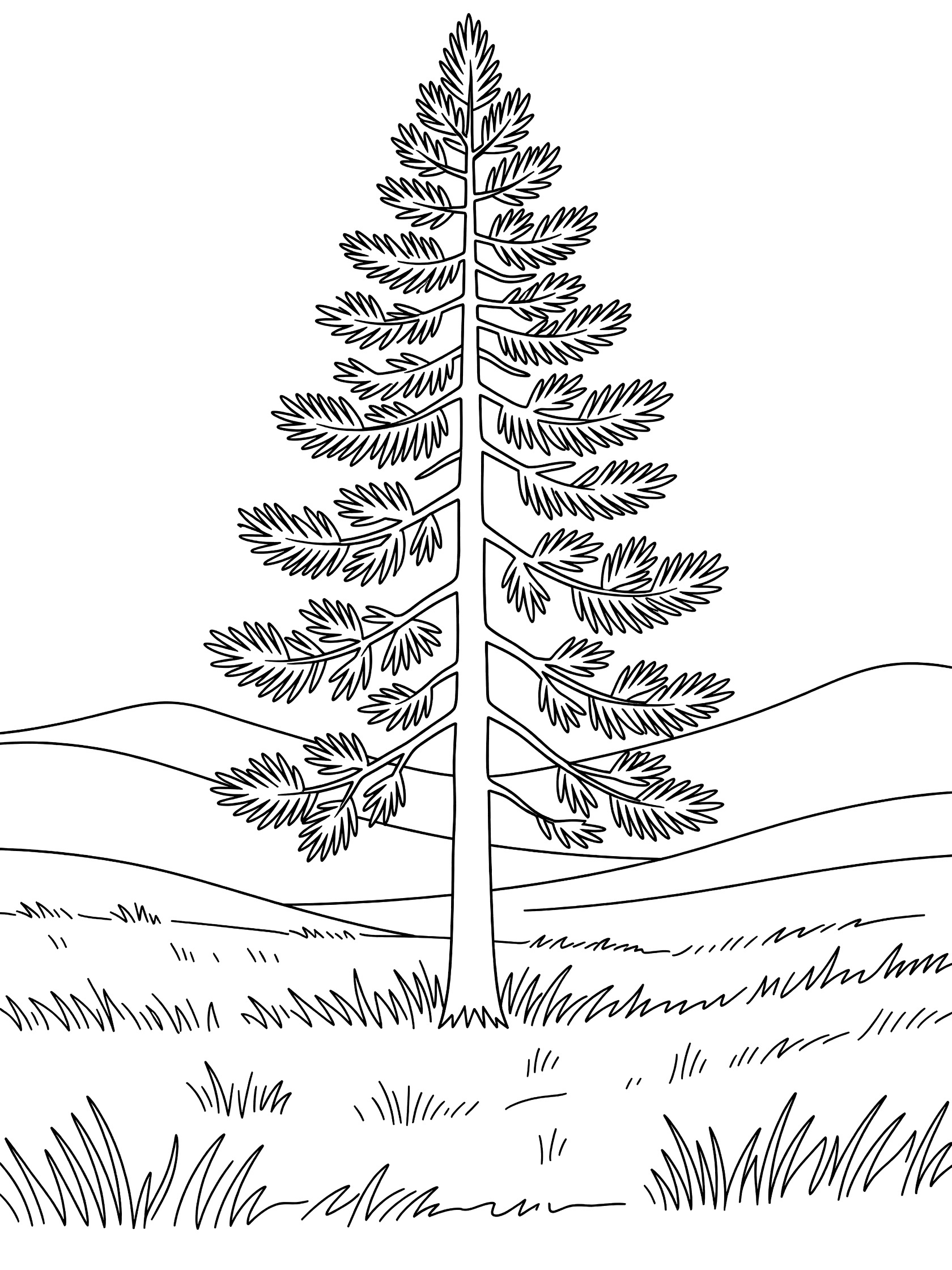 Black and white coloring page showing a tall pine tree with needle branches standing in grassy meadow with rolling hills and distant mountains.