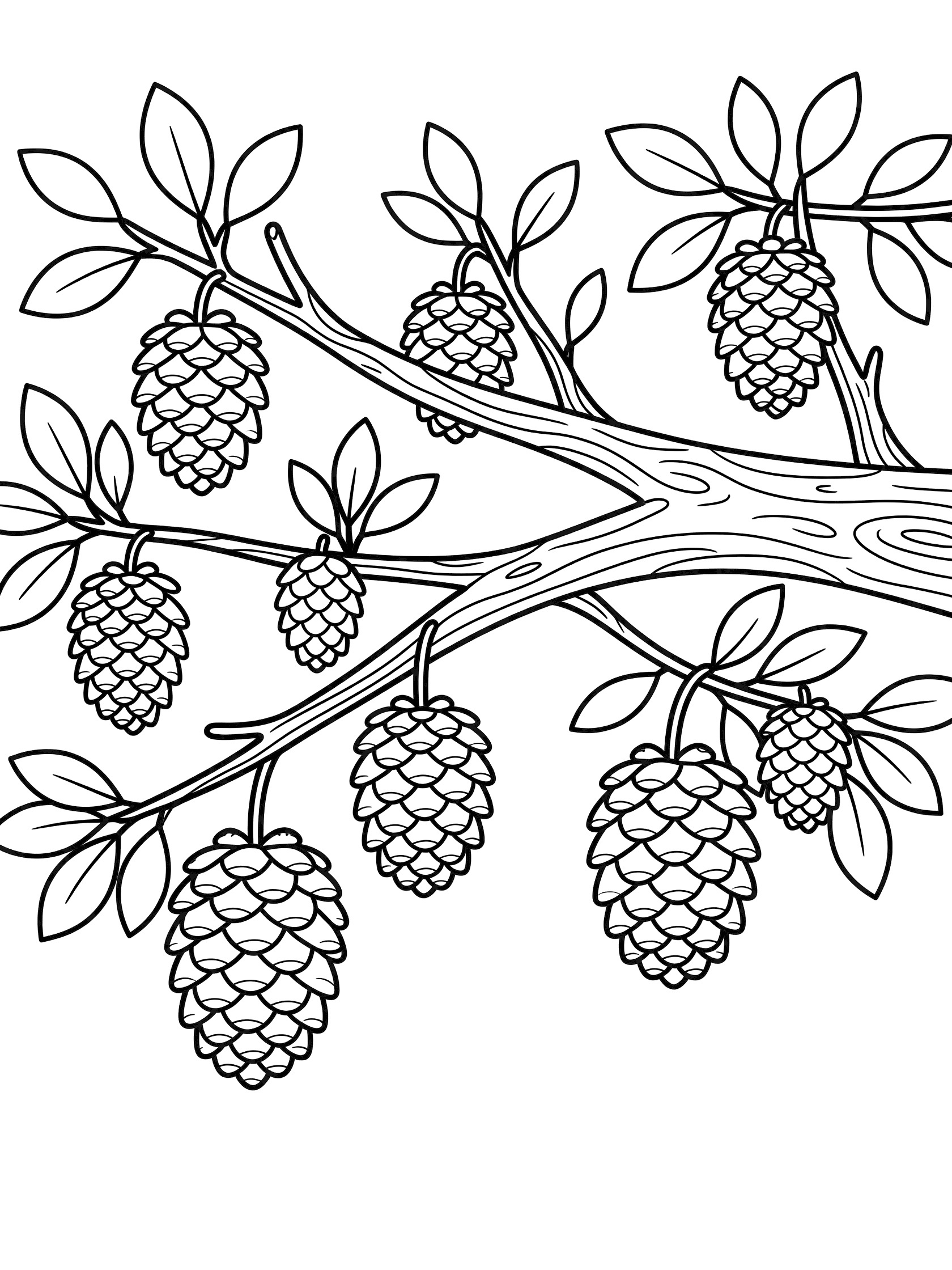 Black and white line art of a pine tree branch with several large pine cones hanging from twigs and surrounded by needles.