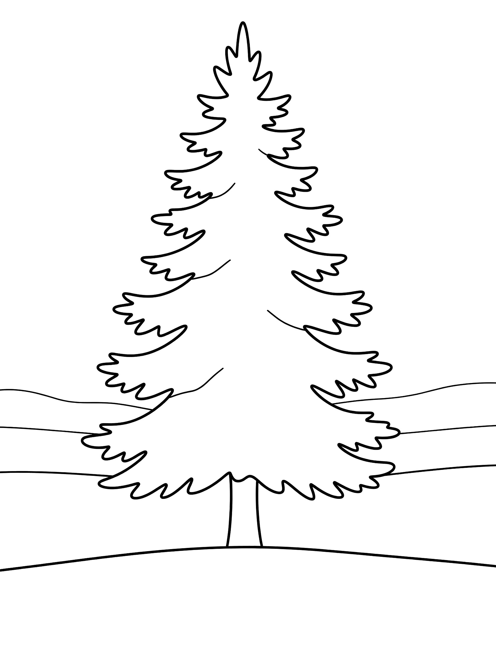 Black and white line art of a tall pine tree with layered bushy branches on a simple ground line, coloring book style.