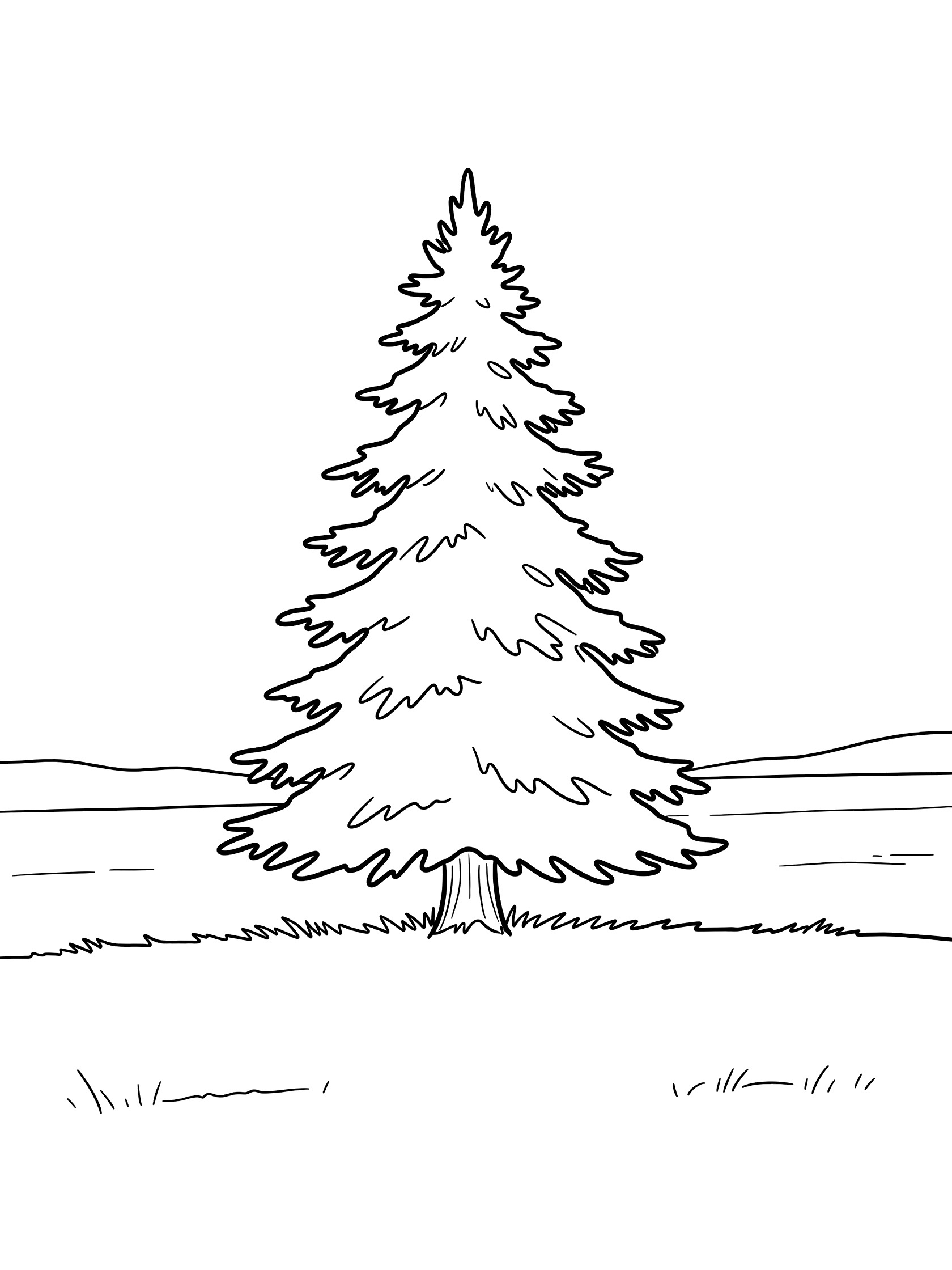 Black and white line drawing of a single tall pine tree with bushy branches standing in an open field with grass. Fir Tree themed black and white printable line art