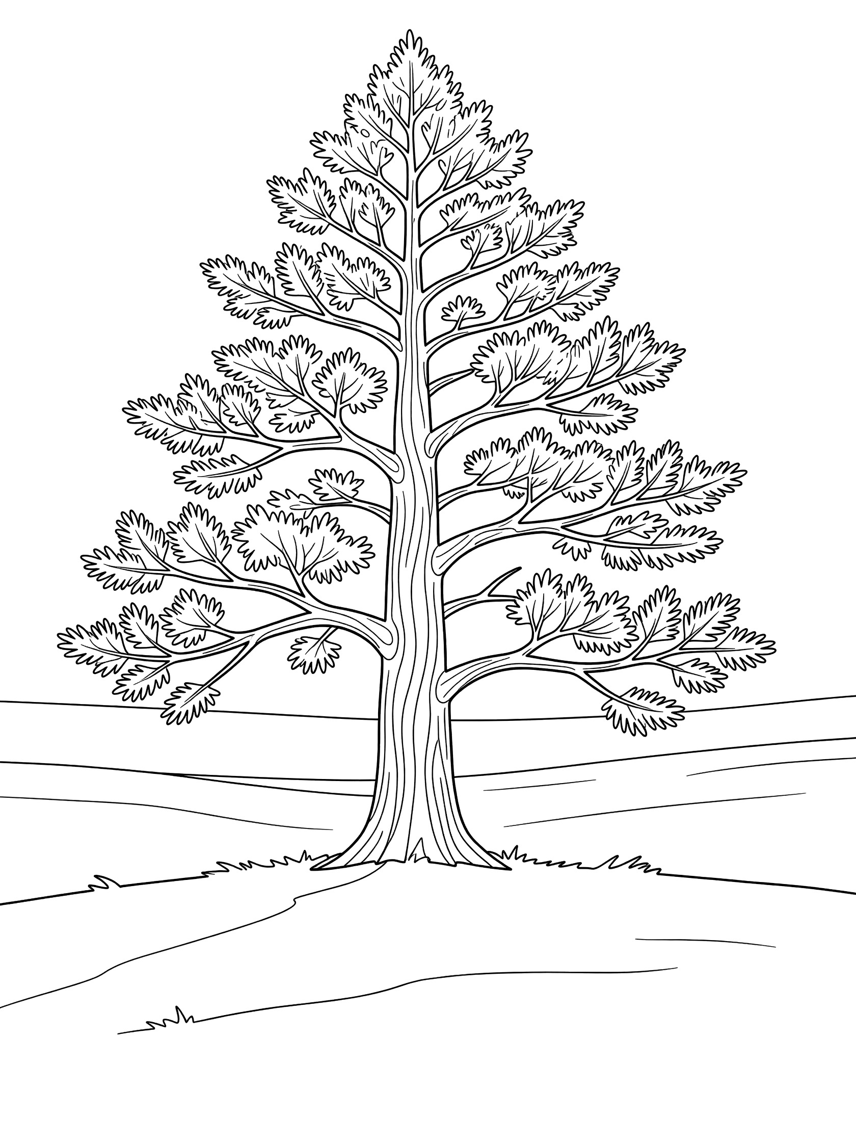 Black and white line art of a single tall pine tree with spreading needle branches and textured trunk in an open field with ground lines.