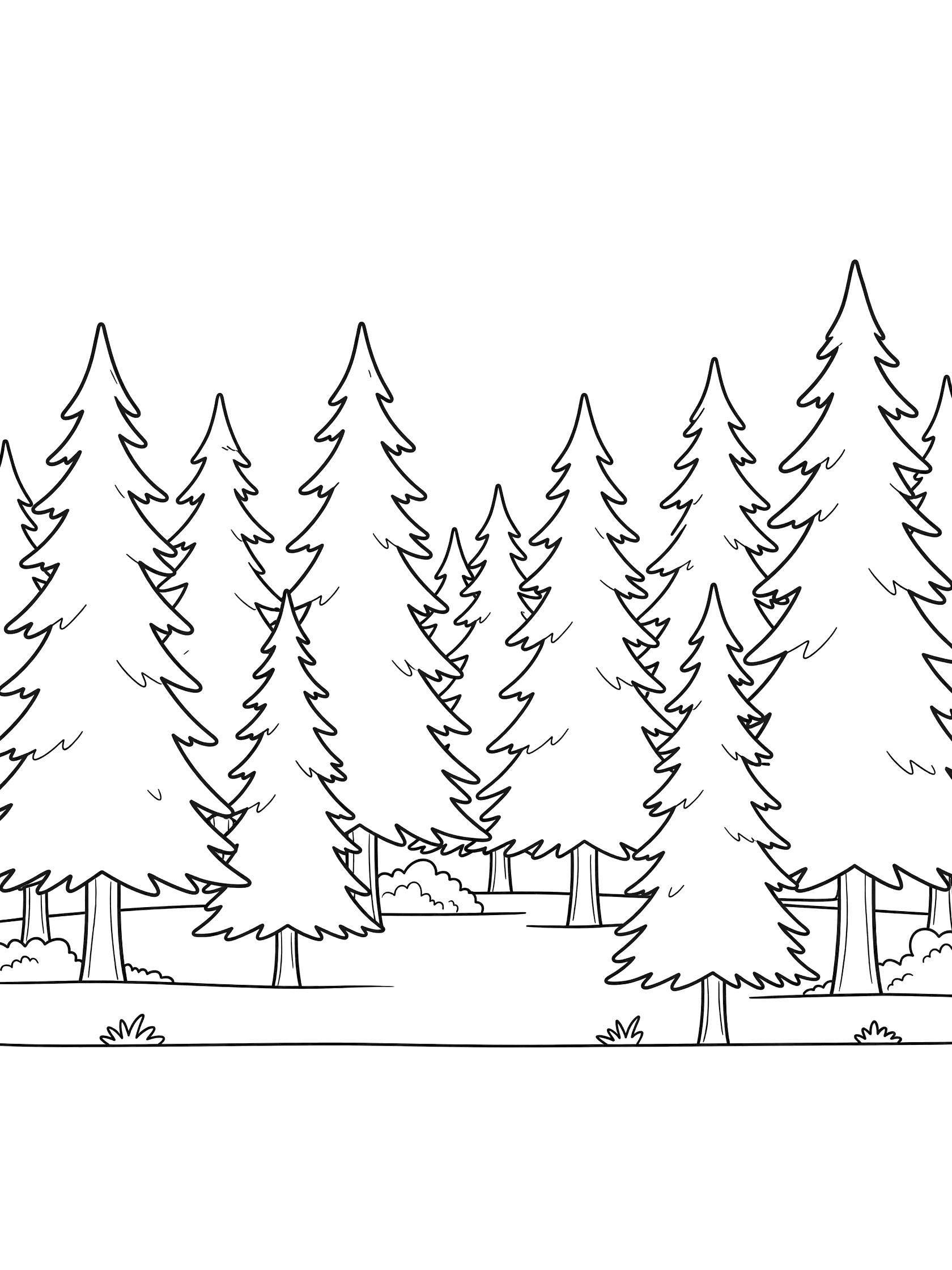 Black and white line art coloring page showing several pine trees in a forest scene on flat ground with small grass patches. Spruce Tree themed black and white printable line art