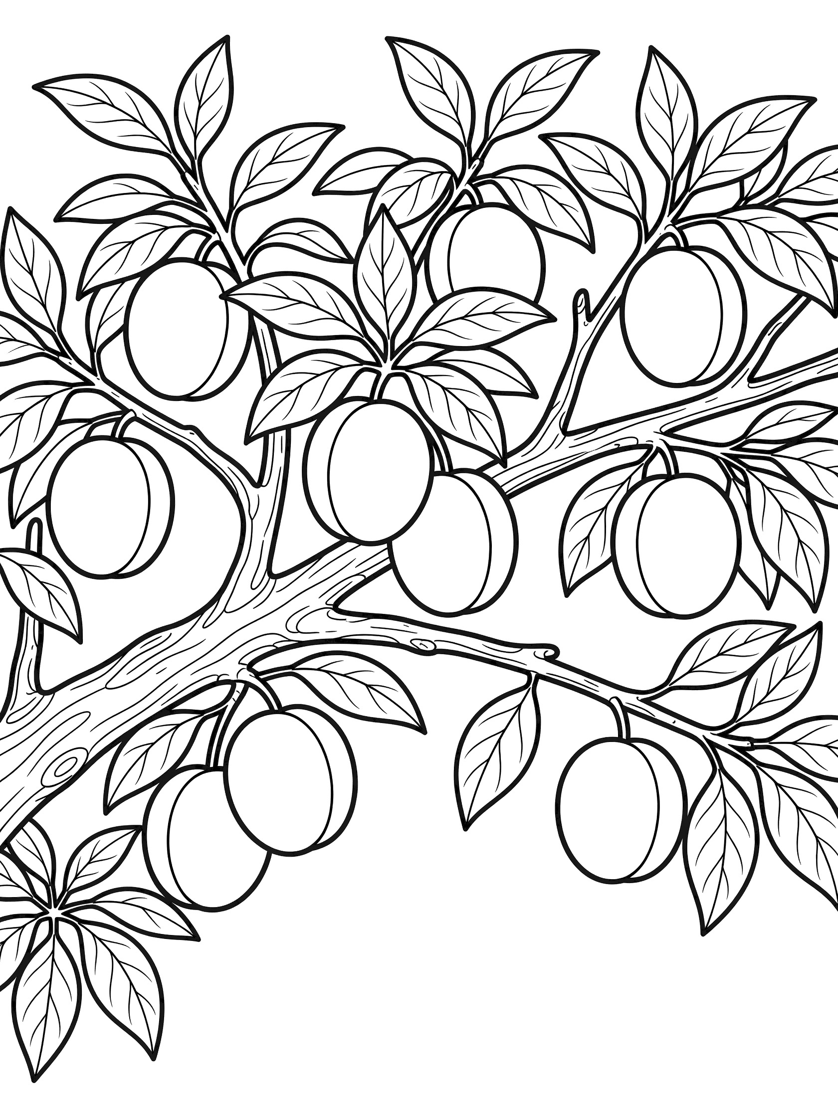Line art coloring page showing several round plums hanging from a sturdy tree branch surrounded by detailed leaves and twigs.