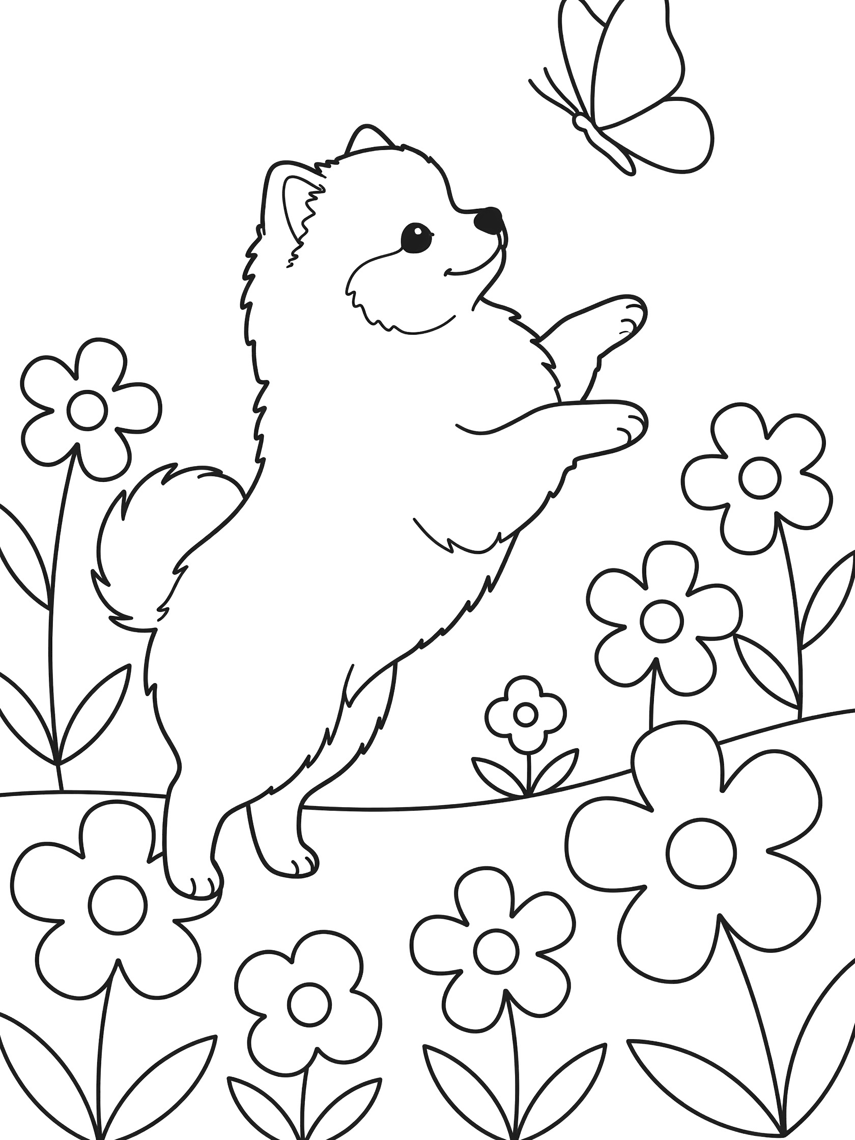 Black and white line art coloring page showing a fluffy Pomeranian dog on hind legs reaching for a butterfly with flowers around it
