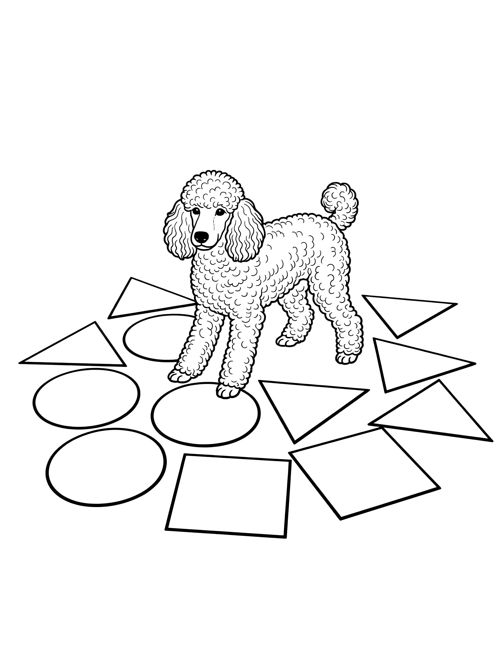 Line art coloring page showing a fluffy poodle dog surrounded by large circles, squares, and triangles on the ground