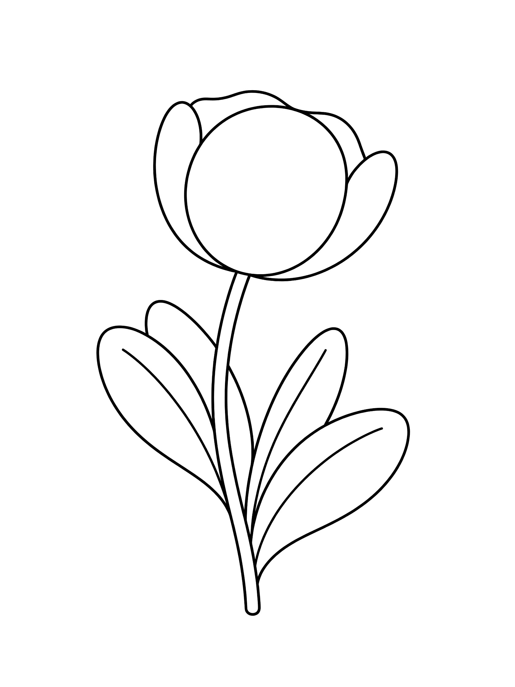 Black and white line drawing of a poppy bud with petals, center circle, slender stem and rounded leaves on white background