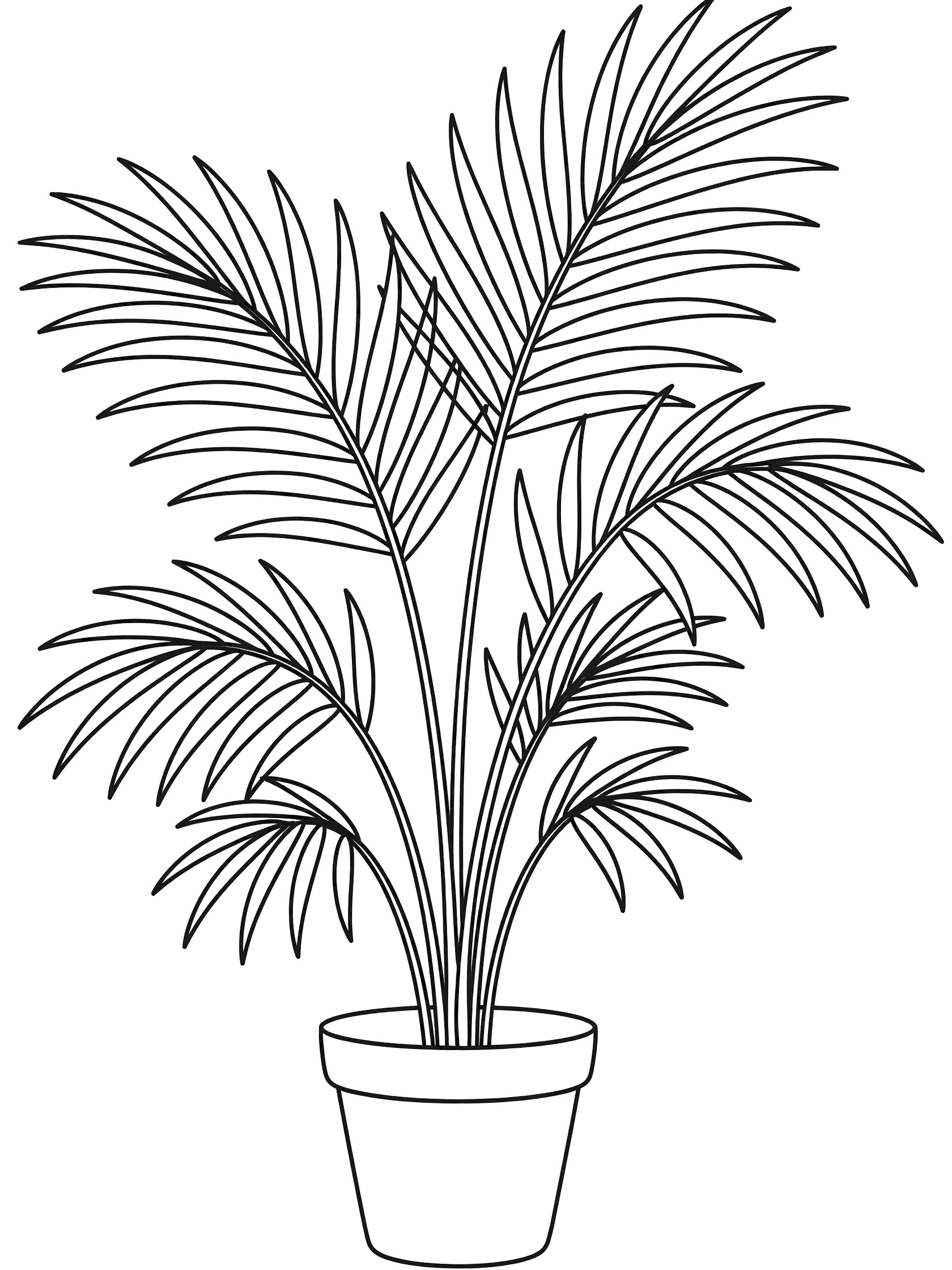 Black and white line drawing of a single palm plant in a simple round pot with arching feathery fronds. Parlor Palm themed black and white printable line art