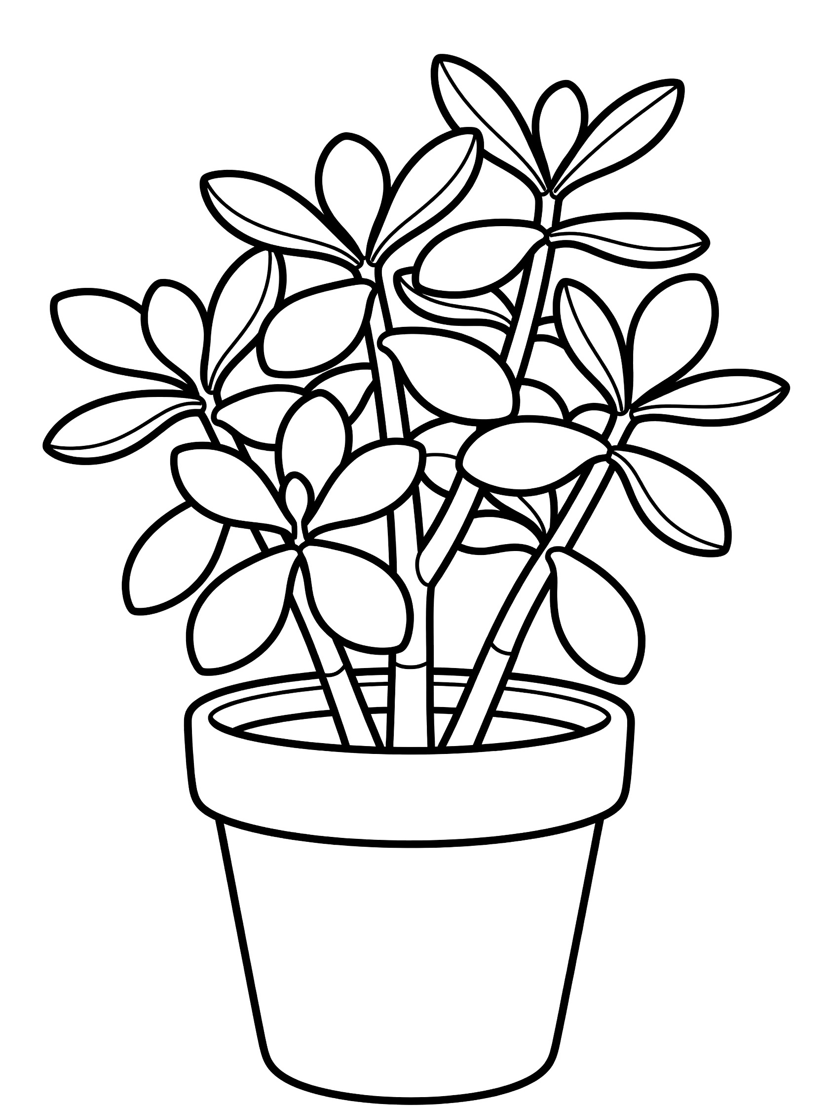 Black and white line art coloring page showing a potted plant with oval leaves growing from sturdy stems in a simple round pot. Jade Plant themed black and white printable line art