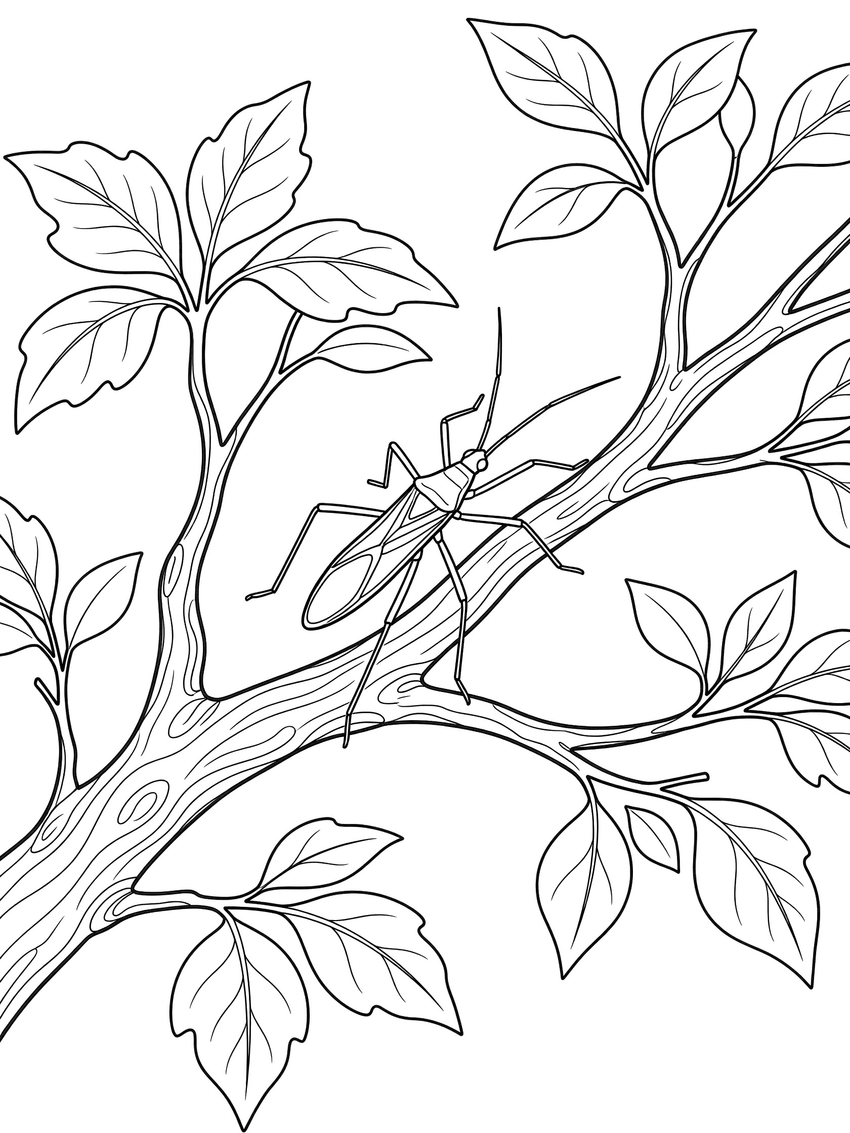 Black and white line art coloring page showing a praying mantis perched on a twisted tree branch surrounded by leaves. Stick Bug themed black and white printable line art