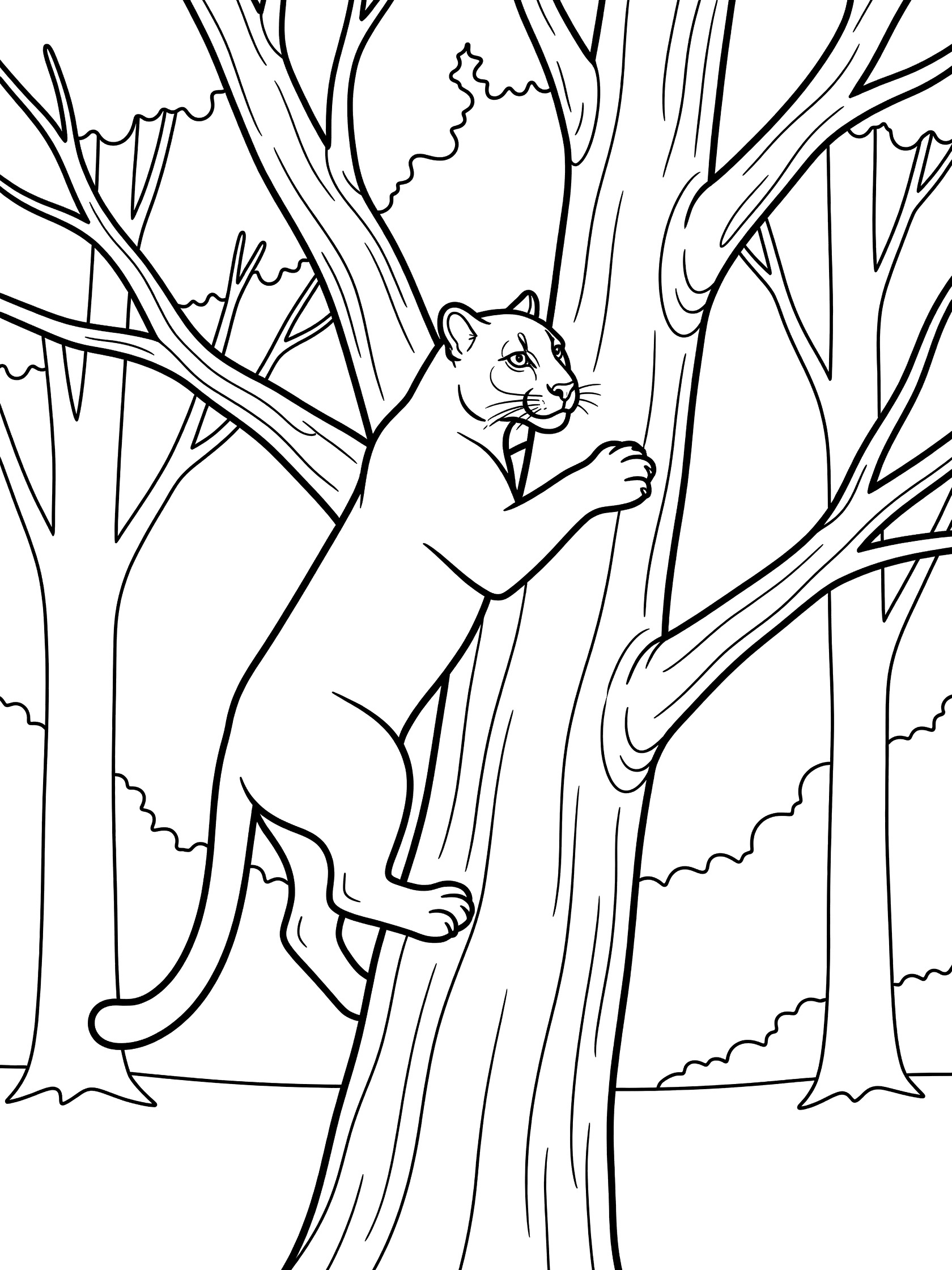 Black and white coloring page of a puma climbing up a tall tree trunk with branches and forest trees in the background.