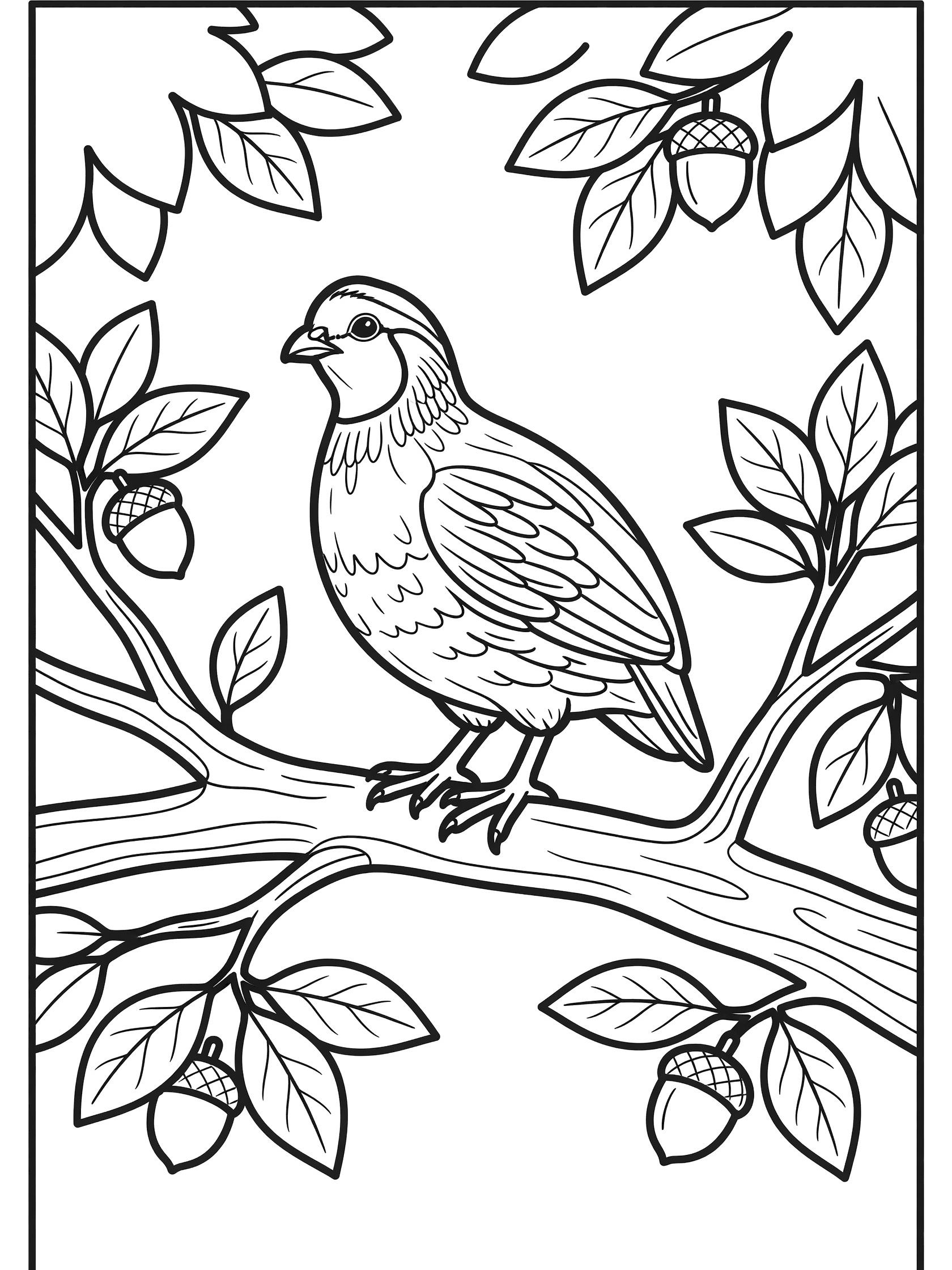 Black and white line art coloring page showing a quail bird sitting alert on a tree branch surrounded by oak leaves and acorns.