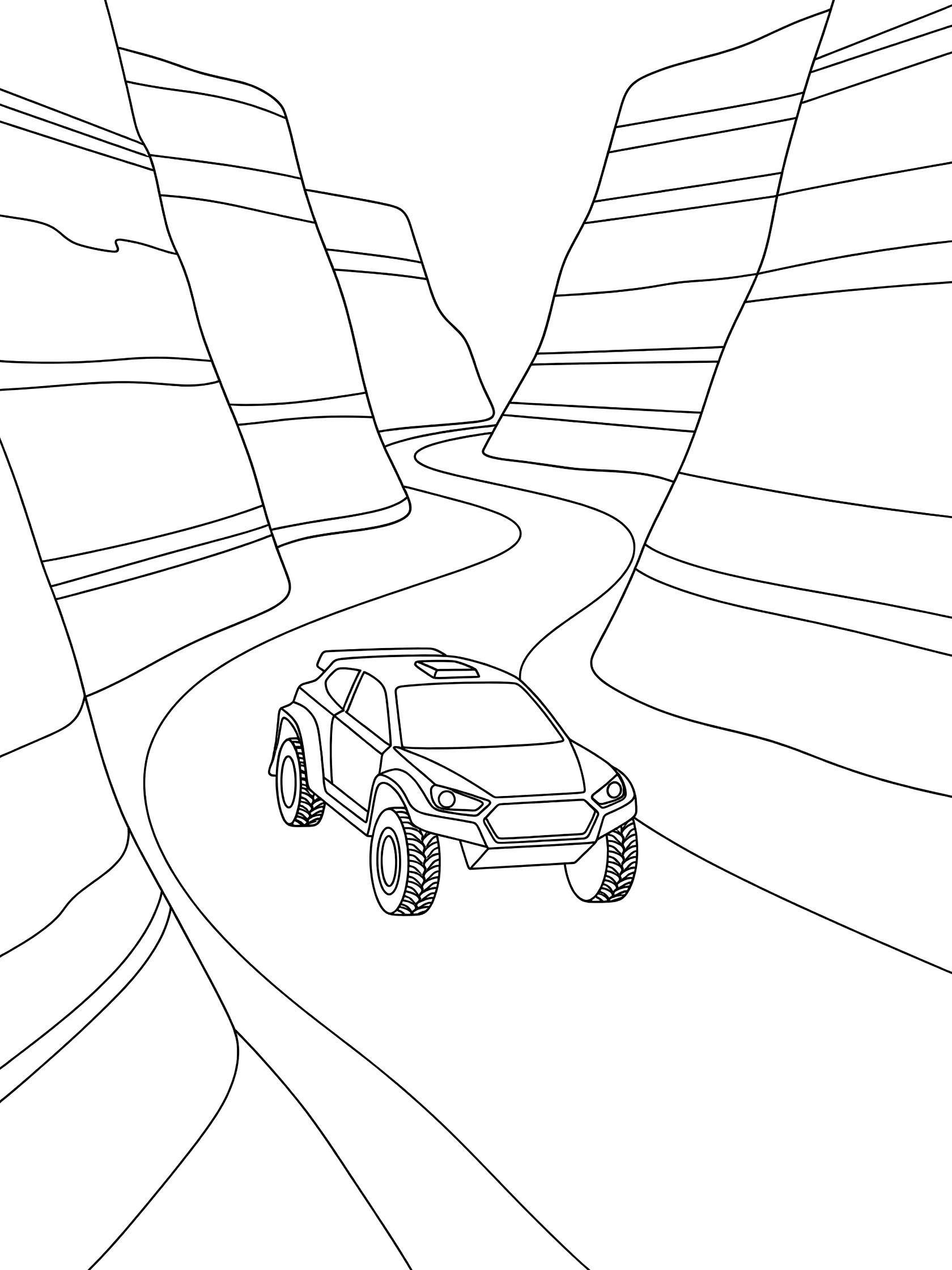 Black and white line art of a rally car driving on a curvy path through high canyon walls with layered rocks
