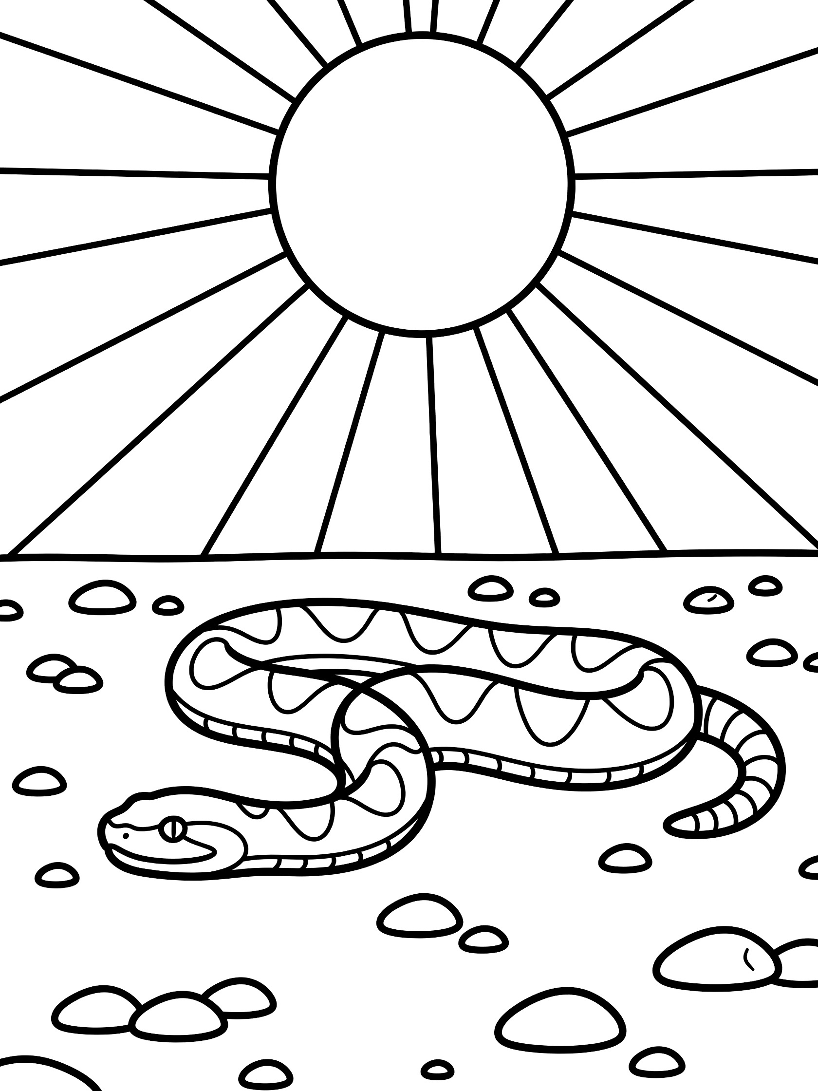 Black and white line art coloring page showing a coiled rattlesnake with rattle tail on flat ground with pebbles, under a large sun with bold rays.