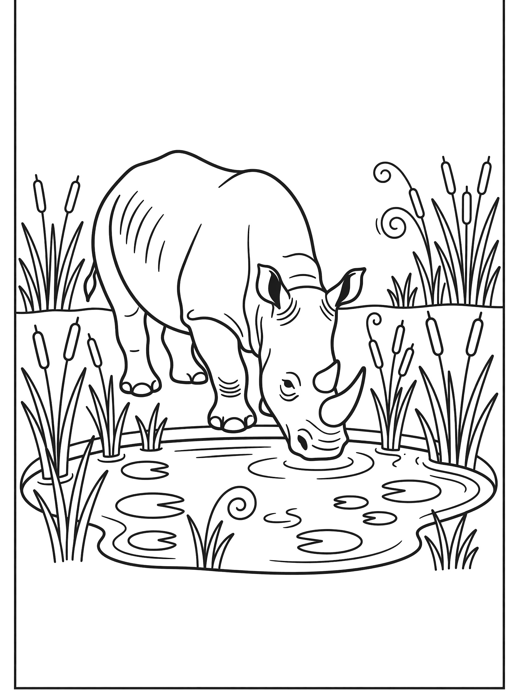 Black and white line art of a rhinoceros bending to drink from a pond with reeds, lily pads, and swirly water patterns.
