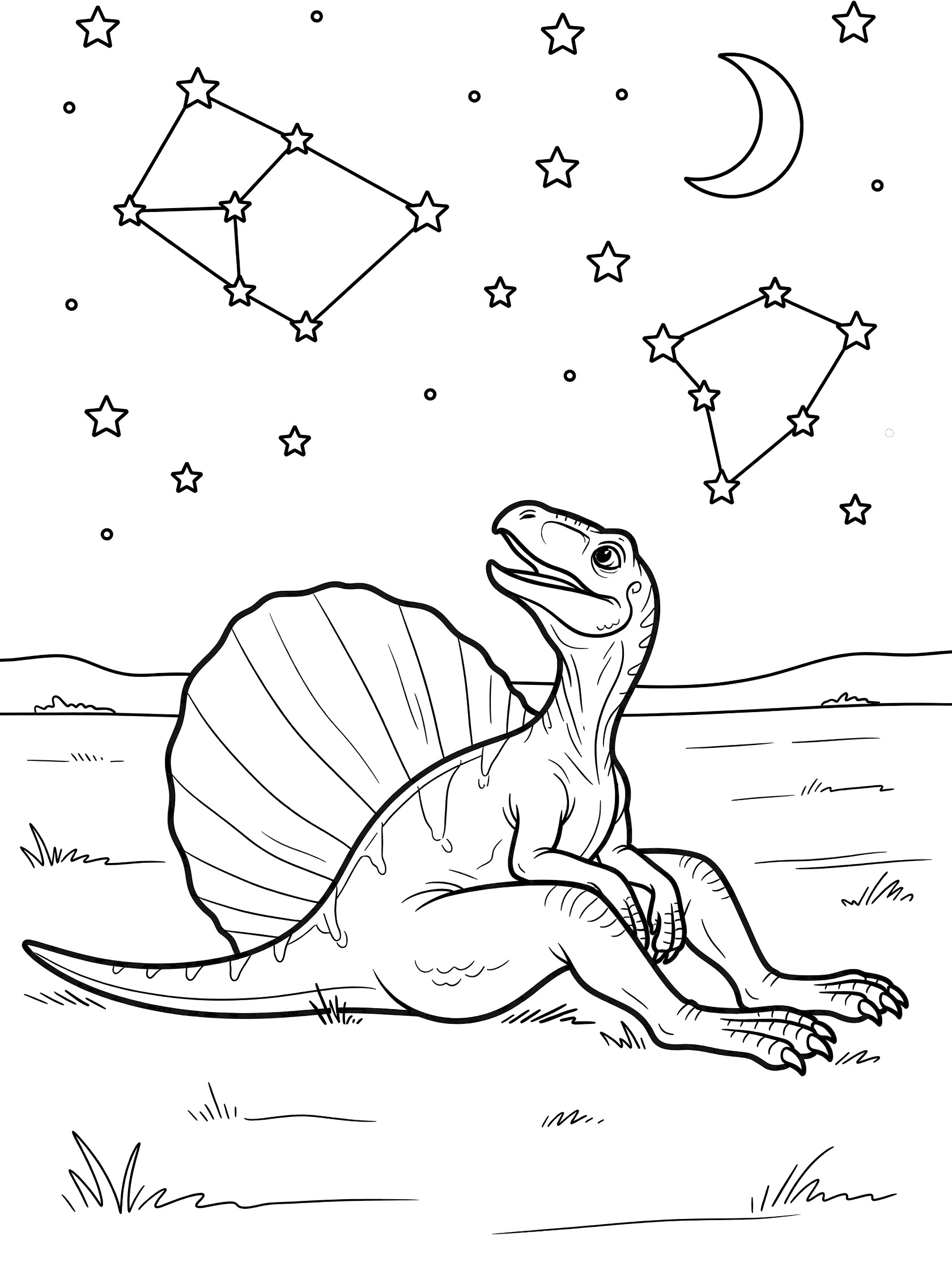 Black and white line art coloring page showing a dinosaur with a large back sail sitting on grassy plain gazing at starry night sky with moon and star shapes. Spinoraptor themed black and white printable line art