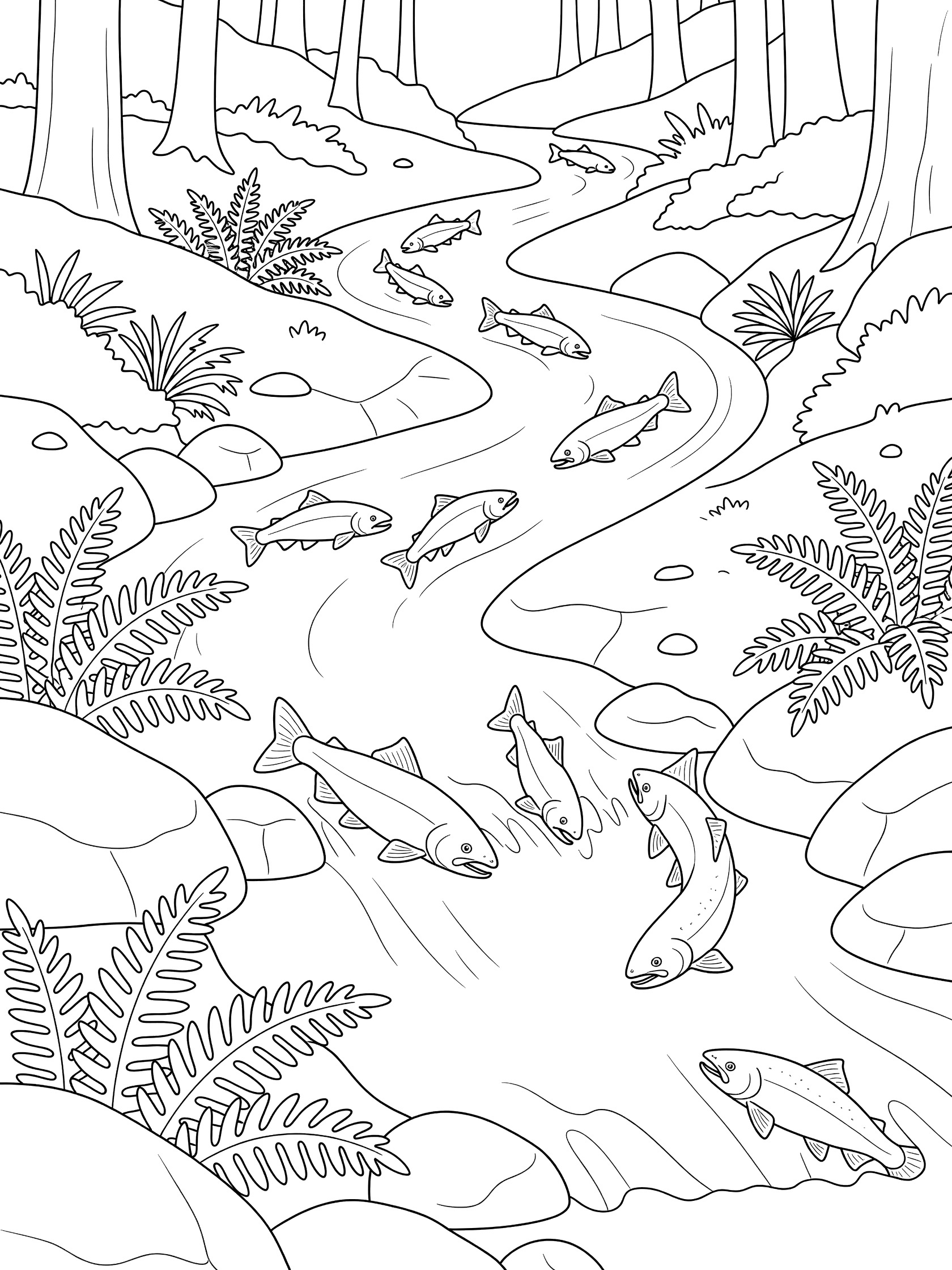 Black and white line art coloring page showing salmon fish jumping in a curvy stream through a forest with tall trees, rocks, and ferns along the banks. Pacific North West Forests themed black and white printable line art
