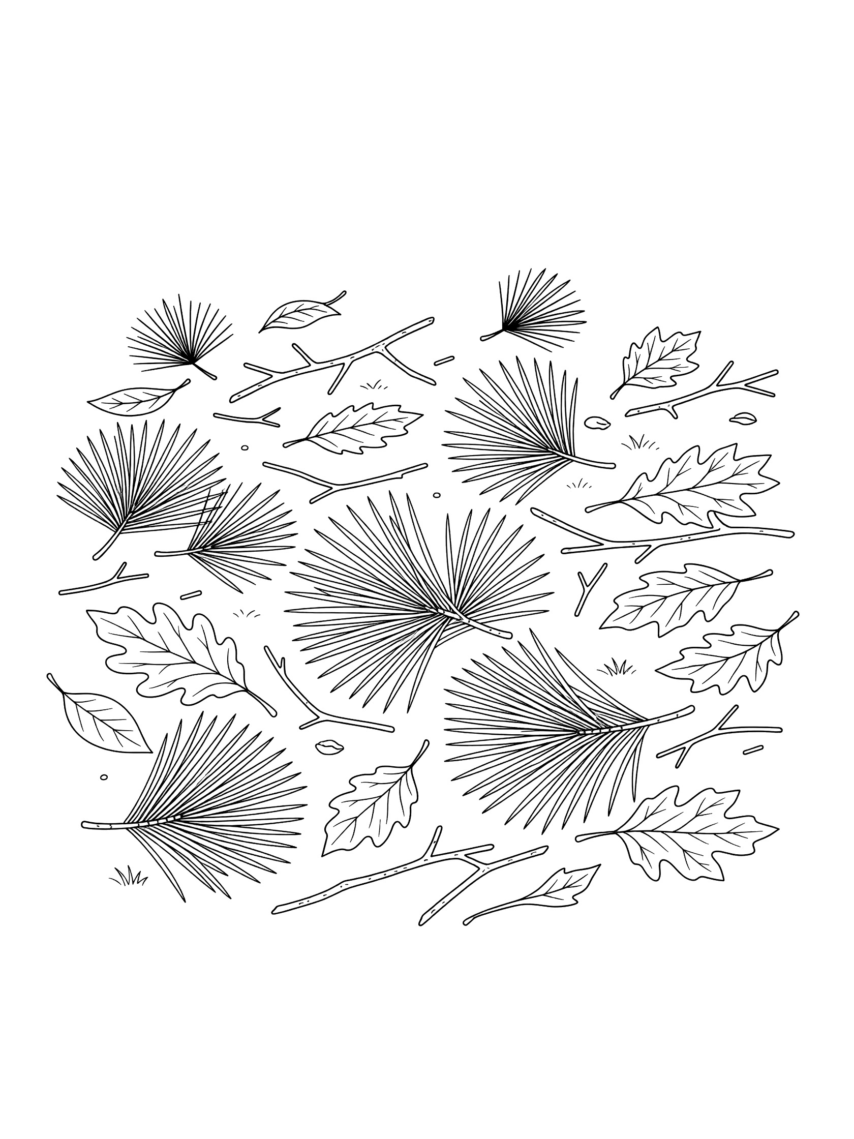 Black and white line art coloring page showing pine needles, oak leaves and small twigs scattered on the ground