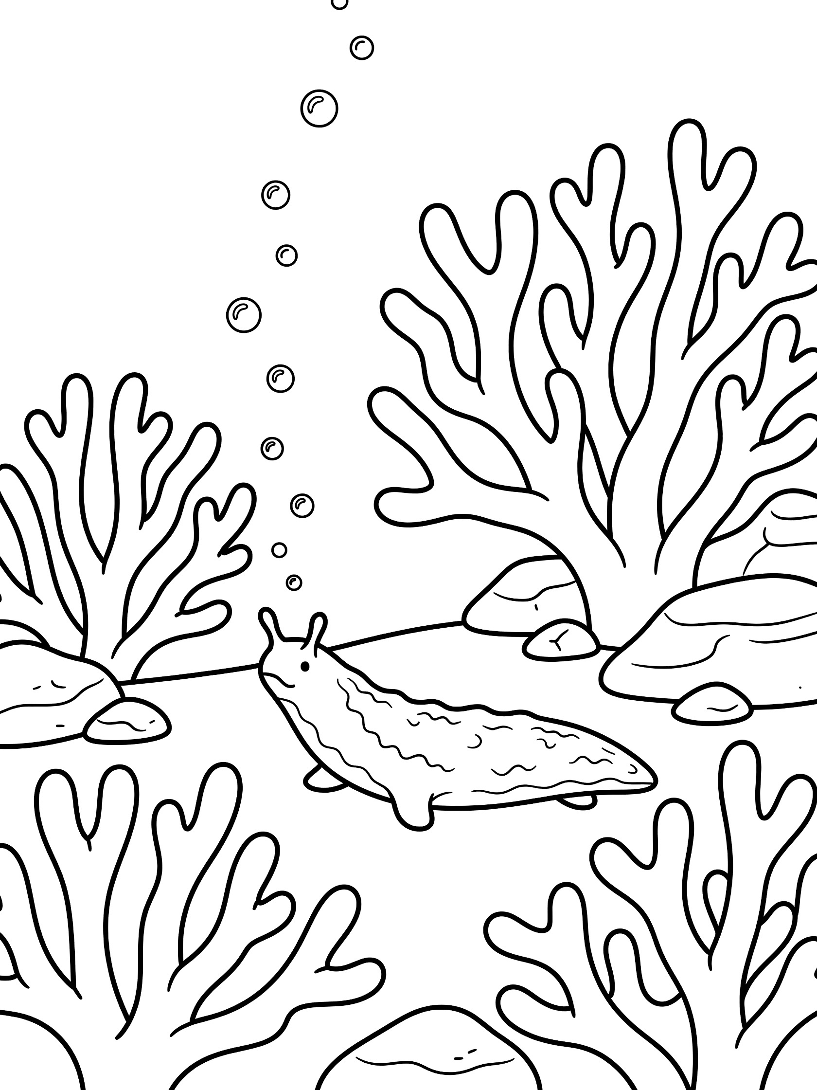 Black and white line art coloring page showing a sea cucumber on the ocean floor near branching corals, small rocks, and rising bubbles.