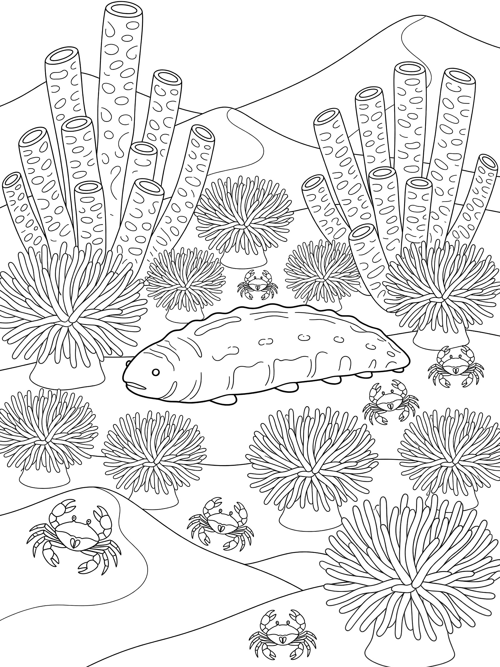 Black and white line art coloring page showing a sea cucumber on the ocean floor surrounded by tube anemones and small crabs.