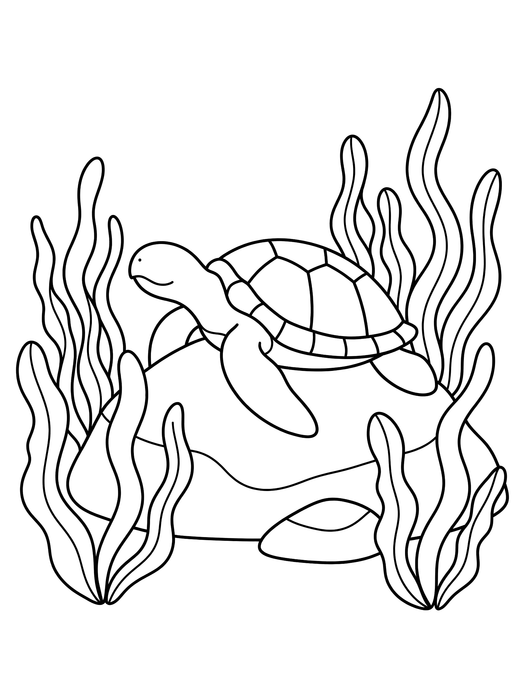 Black and white coloring page of a sea turtle on a rock with seaweed