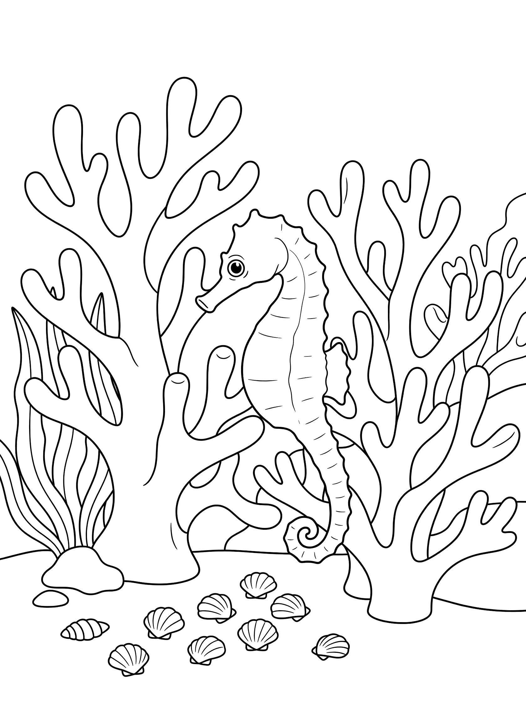Black and white line art coloring page showing a seahorse curled around branching corals, surrounded by seaweed and small shells on the ocean floor.