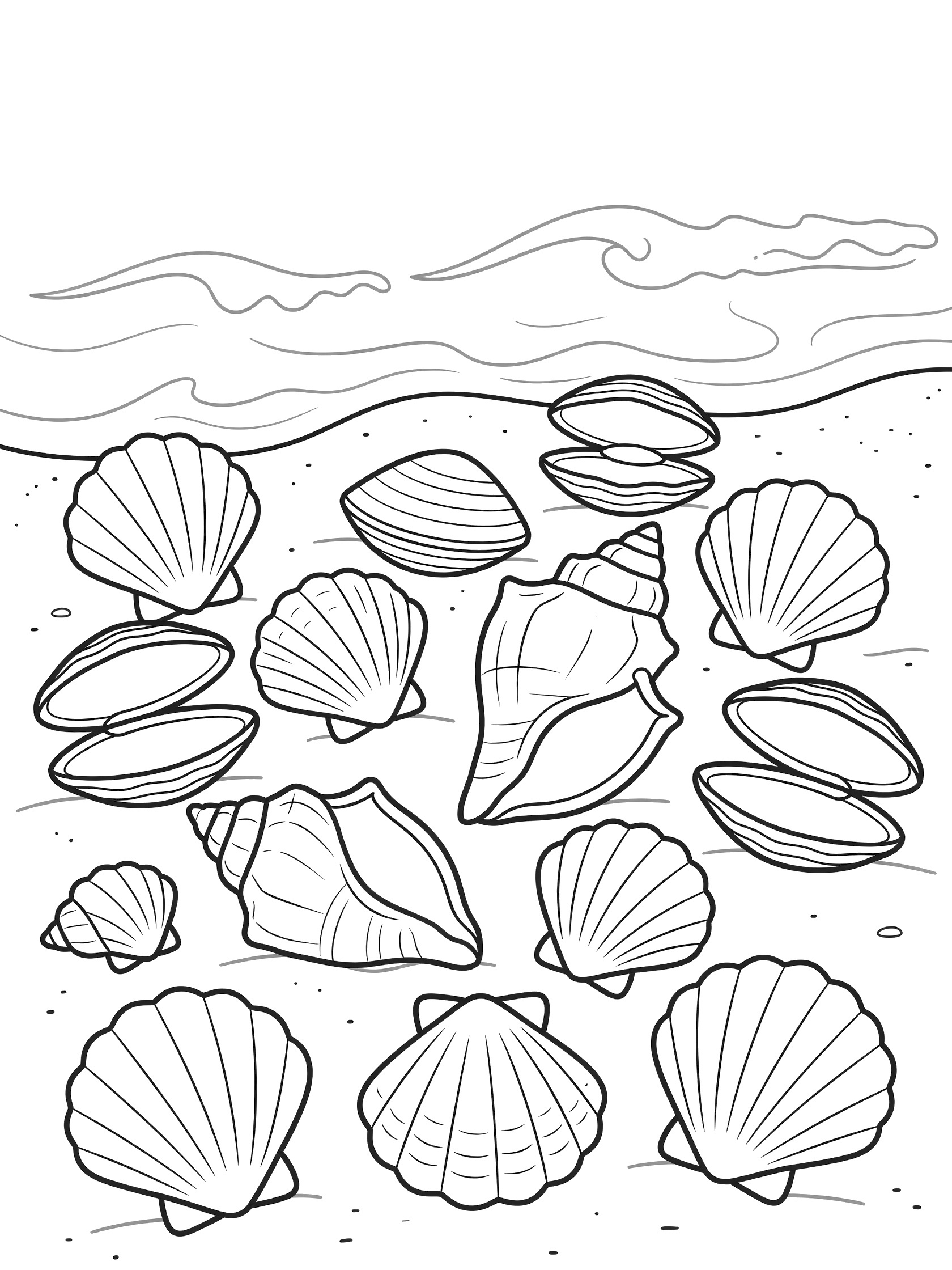 Black and white line art coloring page showing various seashells scattered on beach sand with ocean waves in background. Waimea Bay themed black and white printable line art