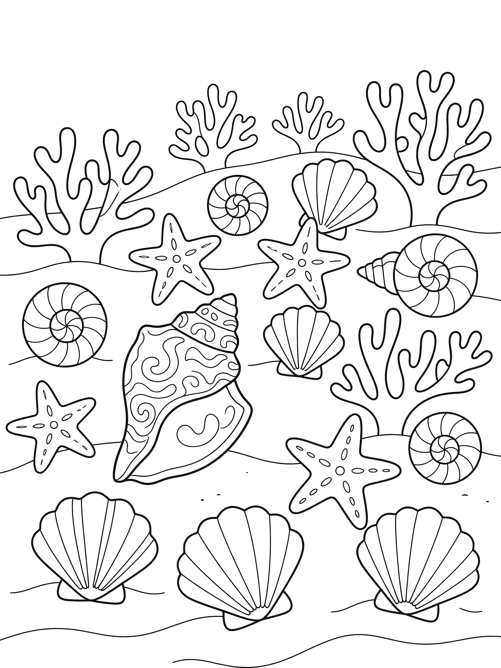 Black and white line art coloring page showing various seashells, starfish and coral branches on sand. Bondi Beach themed black and white printable line art