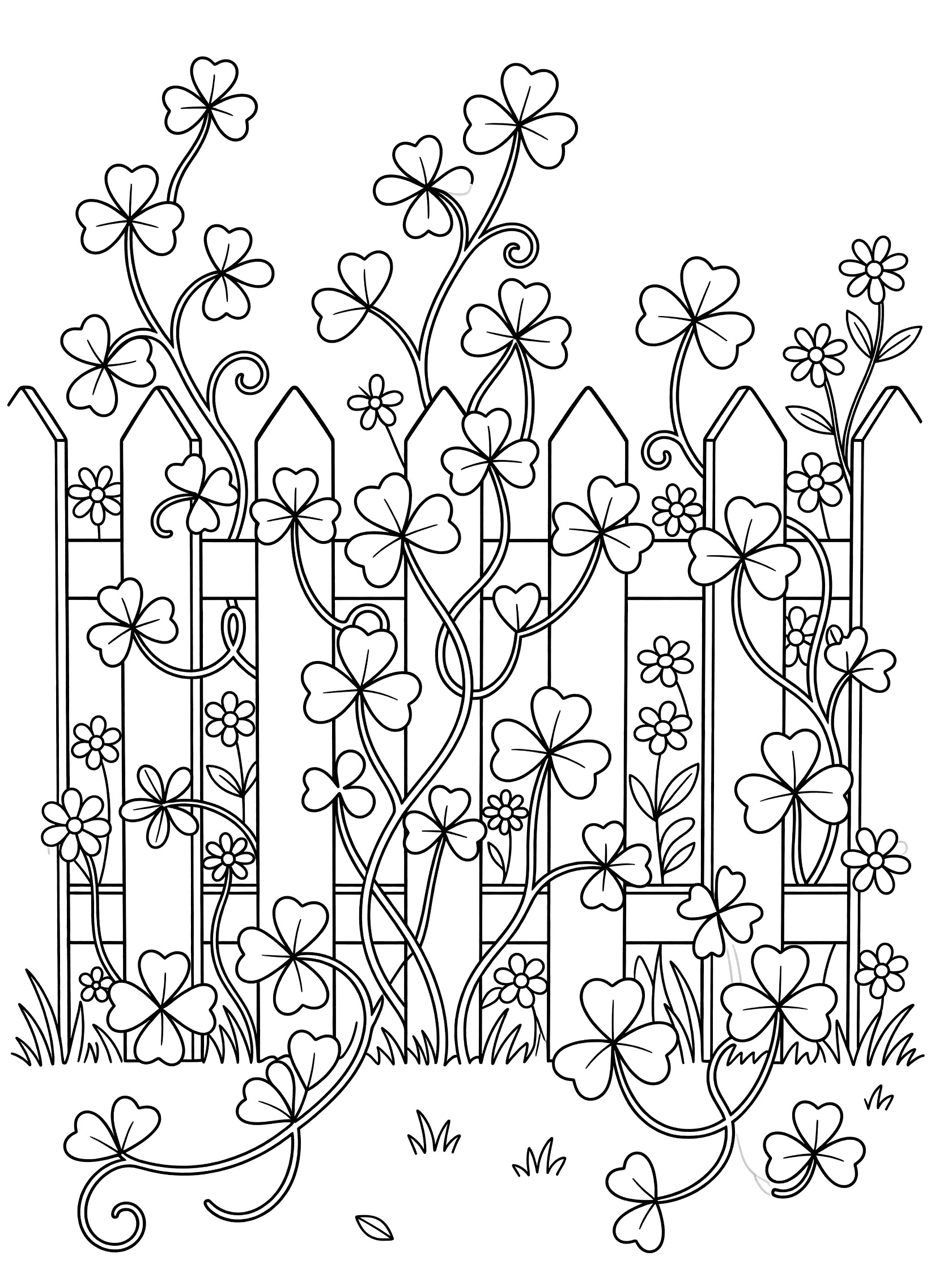 Black and white line art of shamrock vines twining around a white picket fence with flowers peeking through, clean coloring page design.