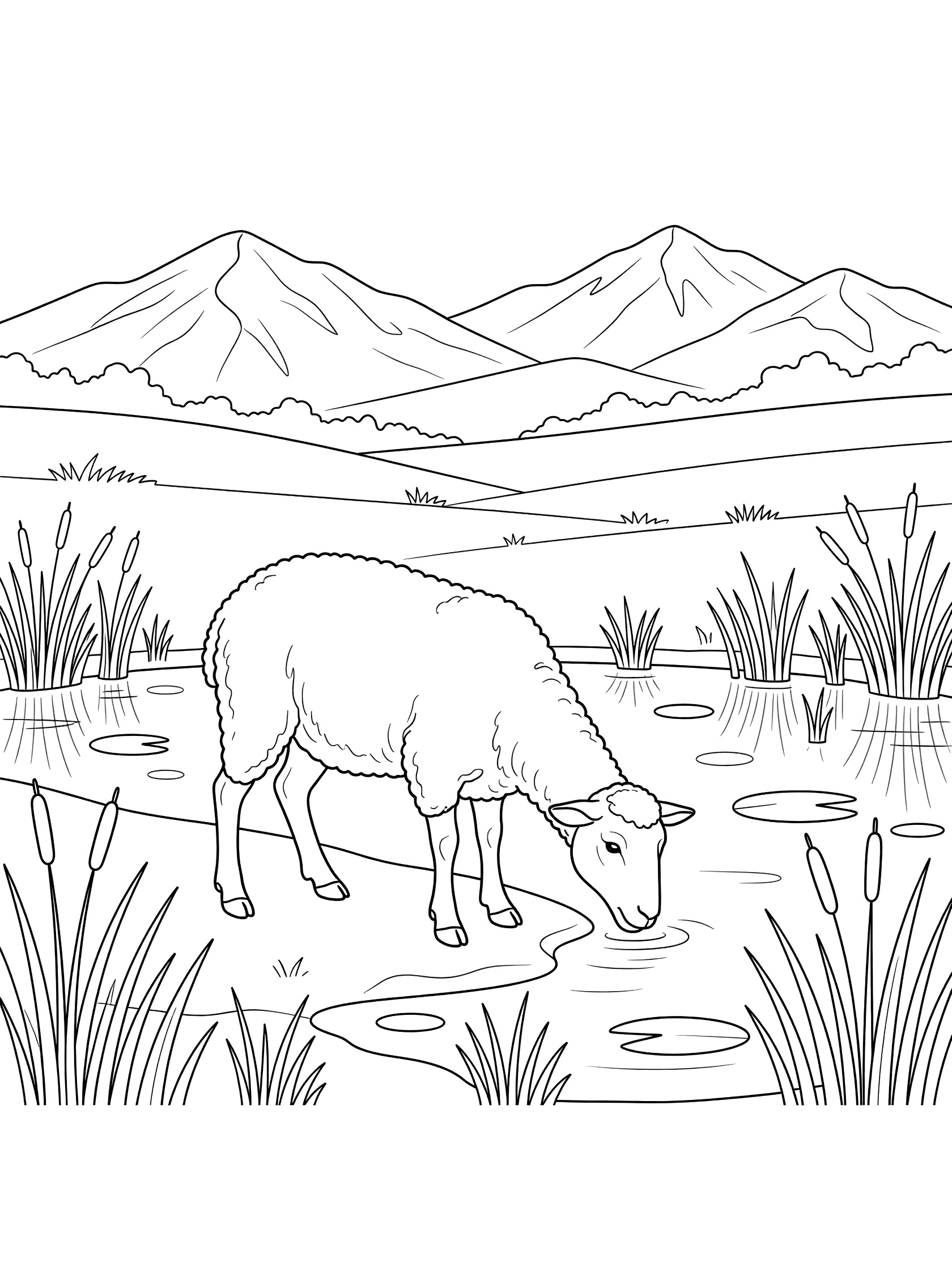 Black and white line art coloring page showing a sheep drinking water from a pond surrounded by reeds and lily pads, with distant mountains and fields.
