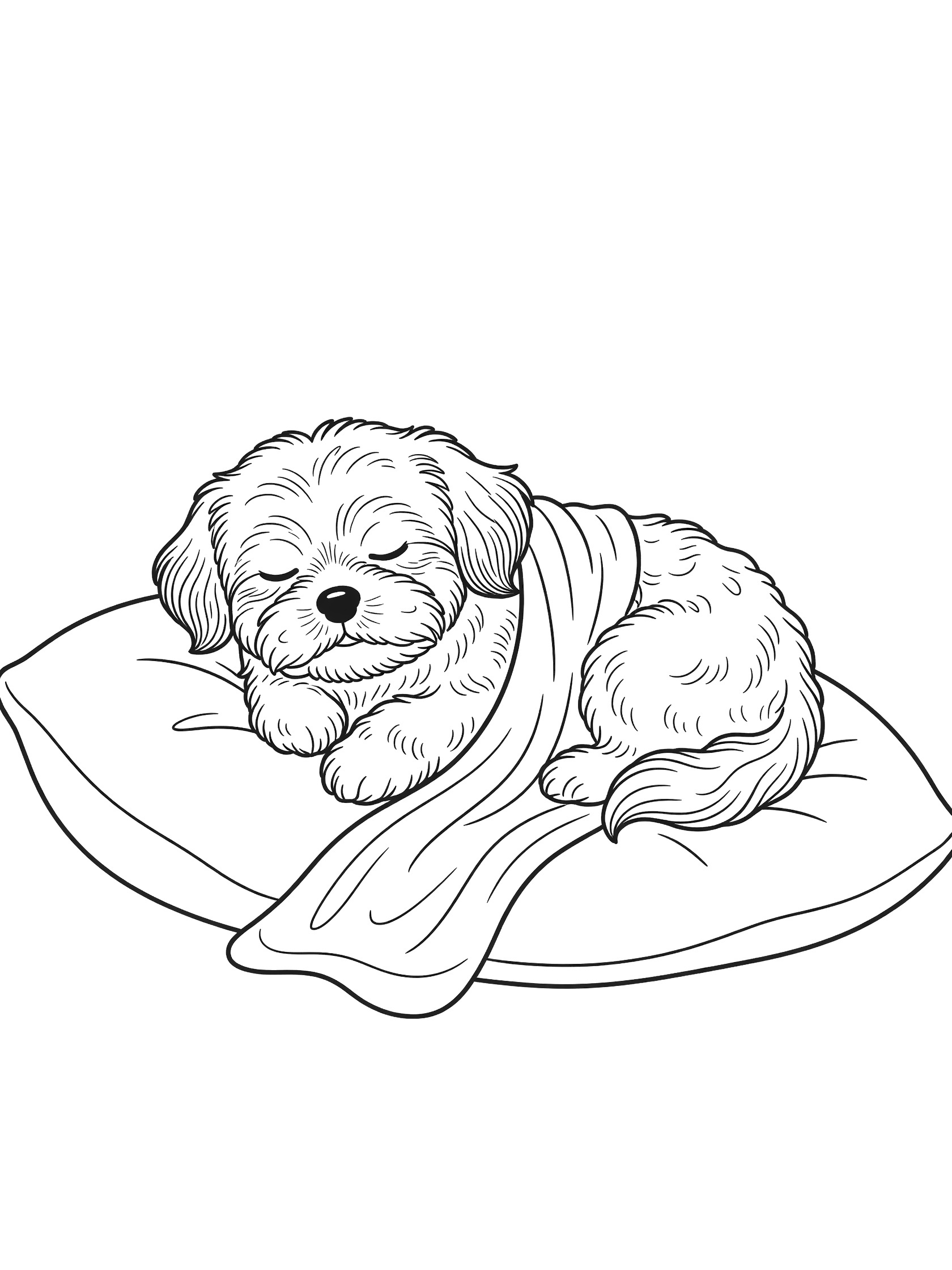 Black and white line drawing of a Shih Tzu puppy sleeping curled up on a round pillow covered by a blanket, coloring page