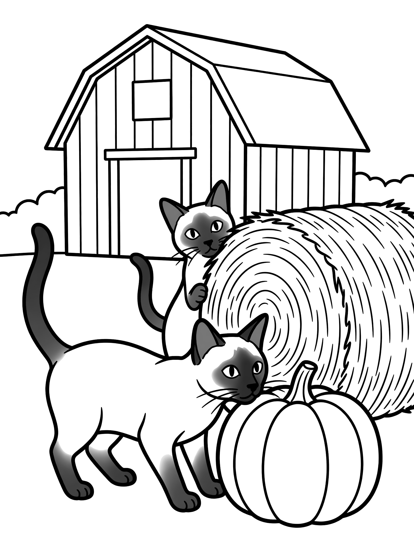 Black and white line art coloring page showing two Siamese cats, one sniffing a pumpkin and one behind a hay bale, with a wooden barn in the background.