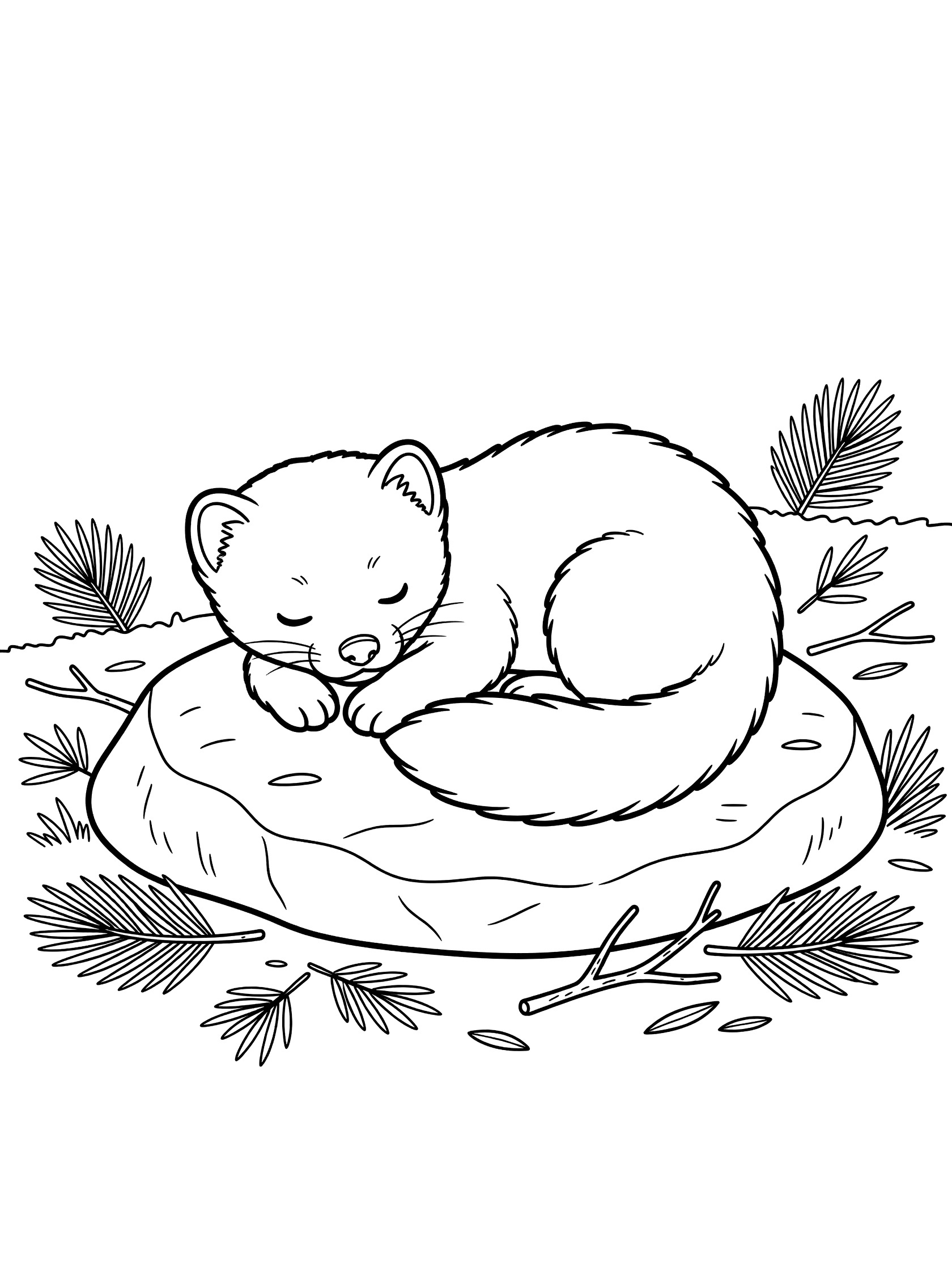 Black and white line art coloring page showing a baby marten sleeping curled up on a textured rock surrounded by pine needles and twigs on the forest floor.