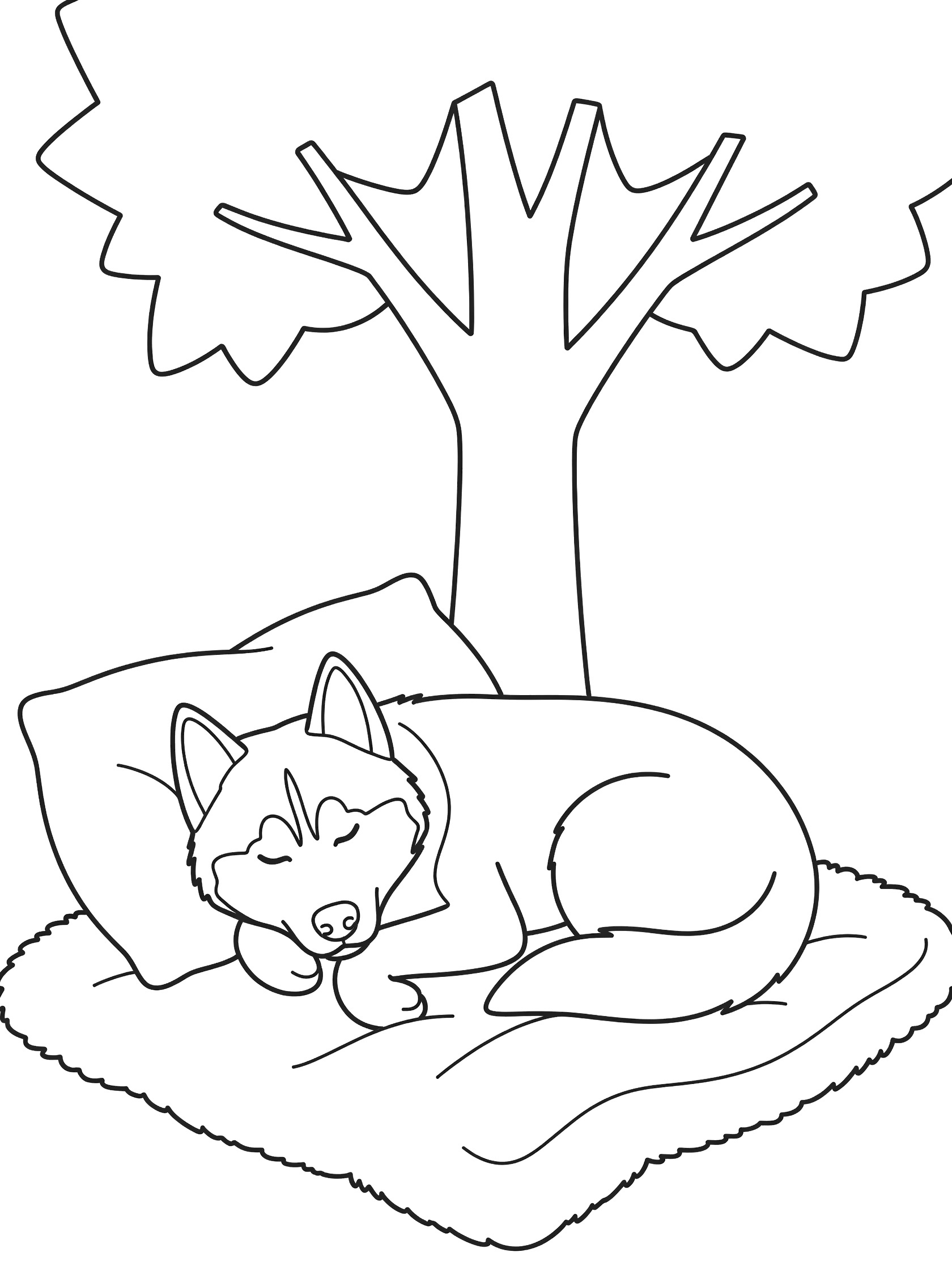 Black and white coloring page of a husky dog sleeping curled up on a blanket with a pillow under a tree