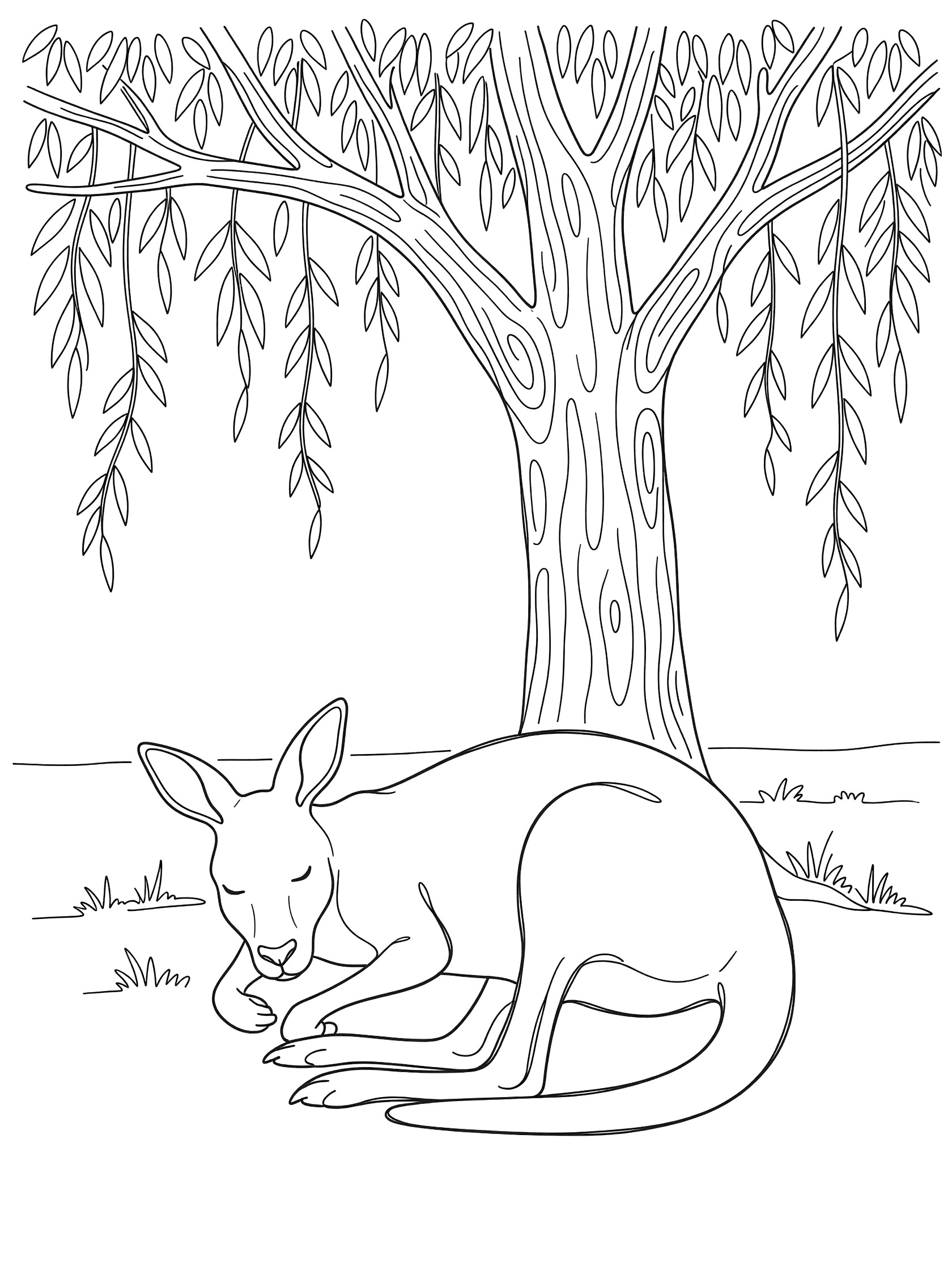 Black and white coloring page of a kangaroo curled up sleeping under a large willow tree with long hanging branches and textured bark.