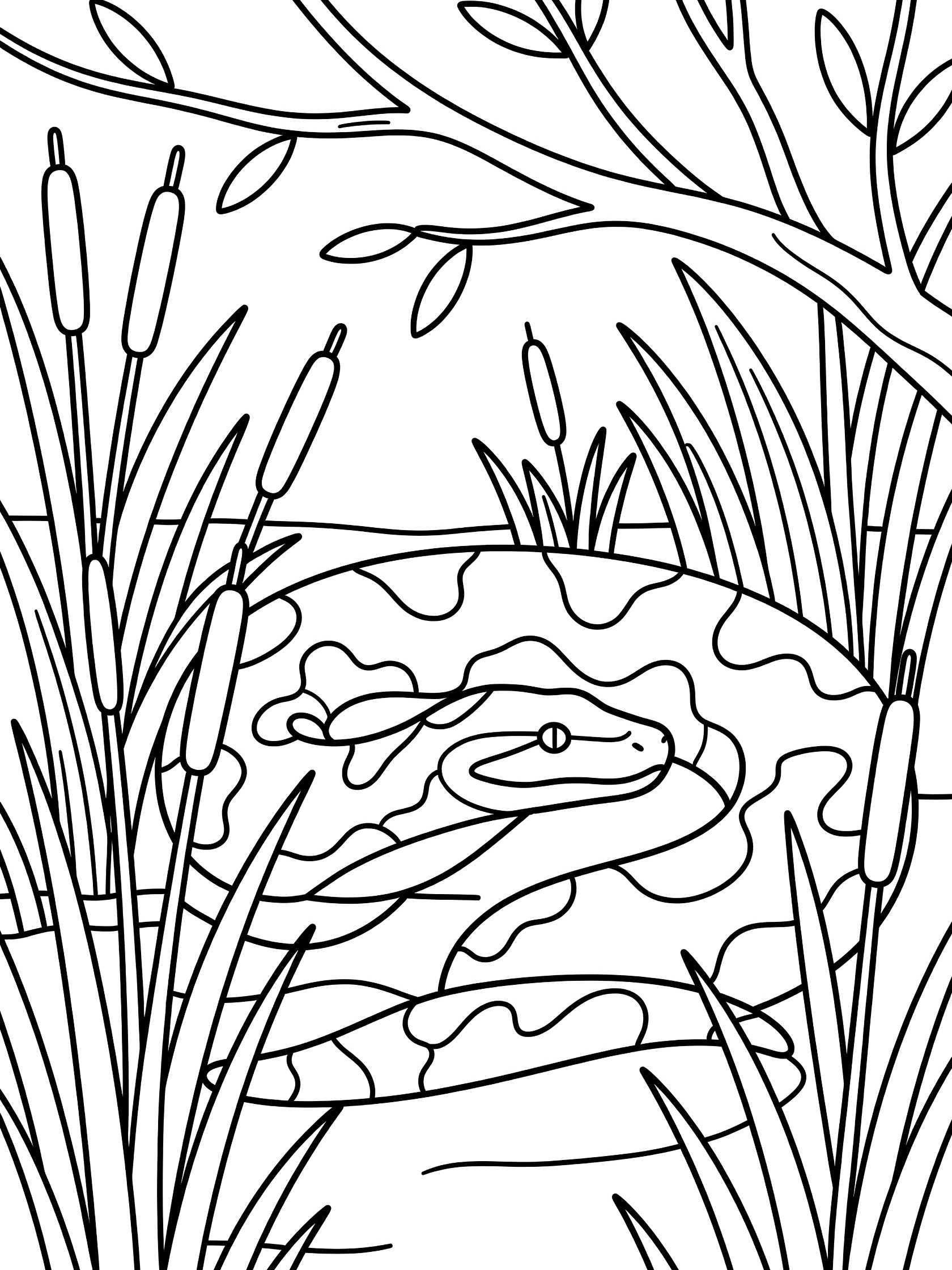 Black and white line art coloring page showing a coiled snake with head peeking out from tall reeds and overhanging branches over water. Anaconda themed black and white printable line art