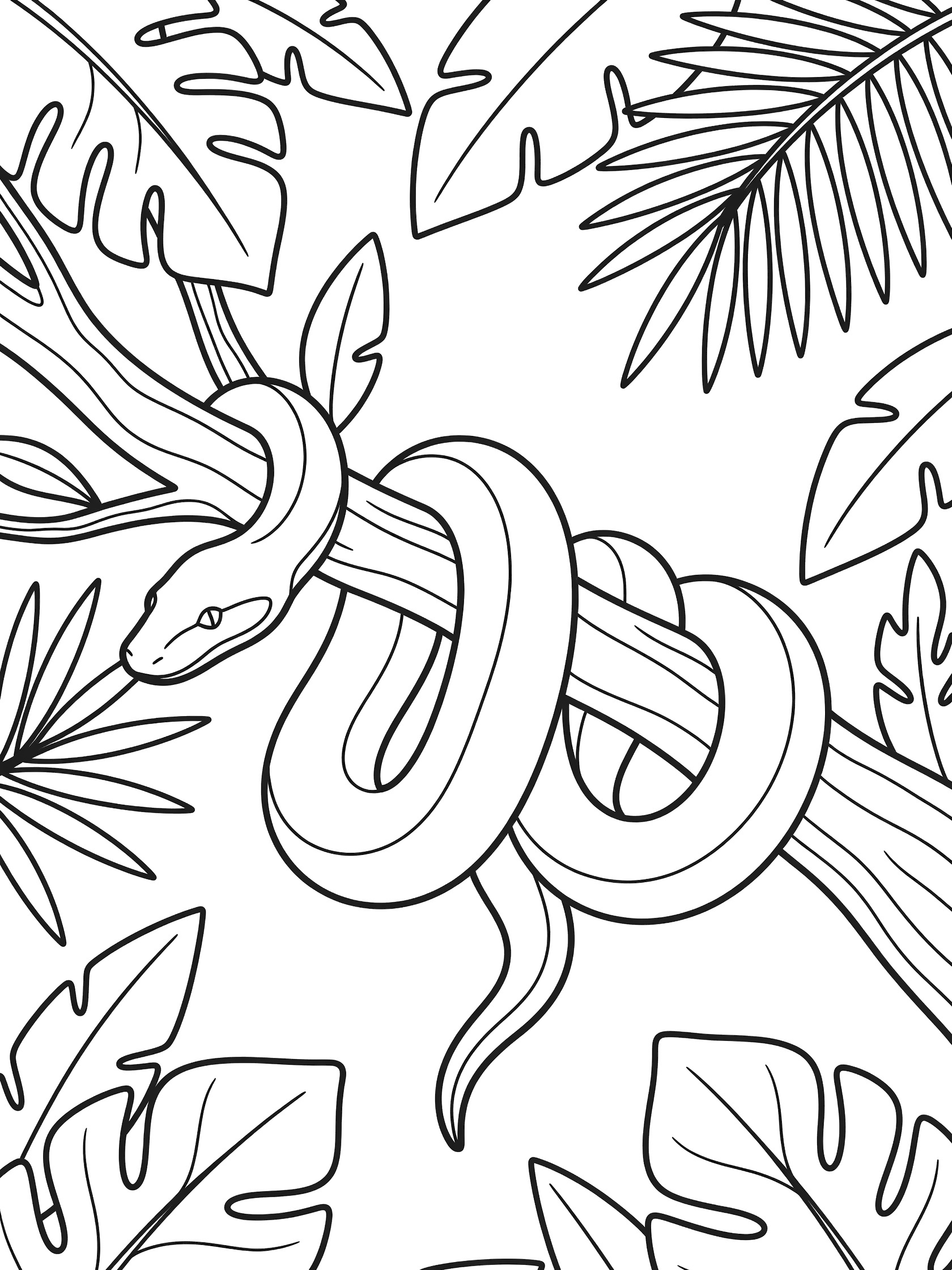 Black and white line art coloring page showing a snake coiled tightly on a tree branch surrounded by large leaves. Anaconda themed black and white printable line art