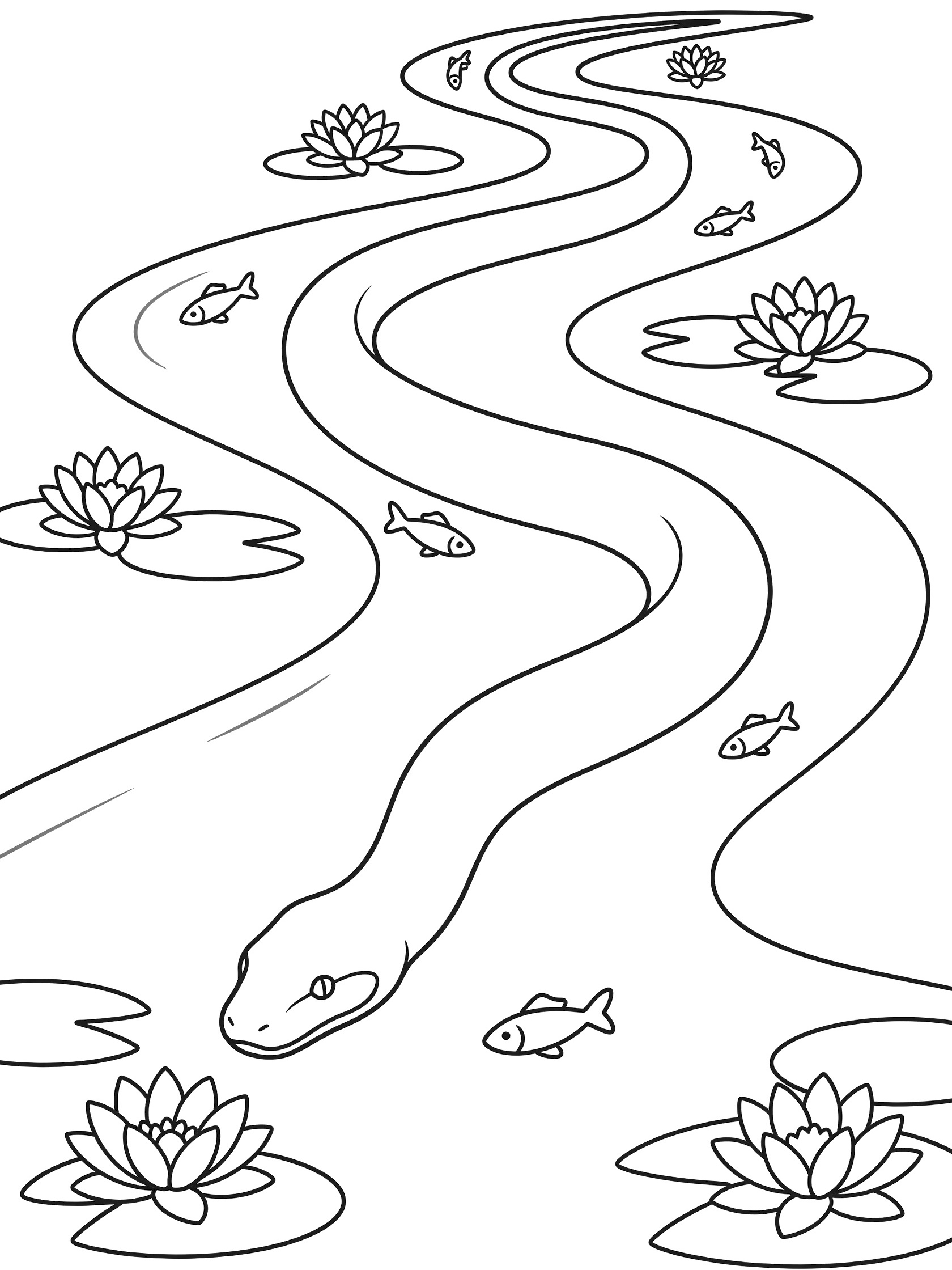 Black and white coloring page showing a long snake swimming in a curvy stream surrounded by small fish and blooming water lily pads. Anaconda themed black and white printable line art