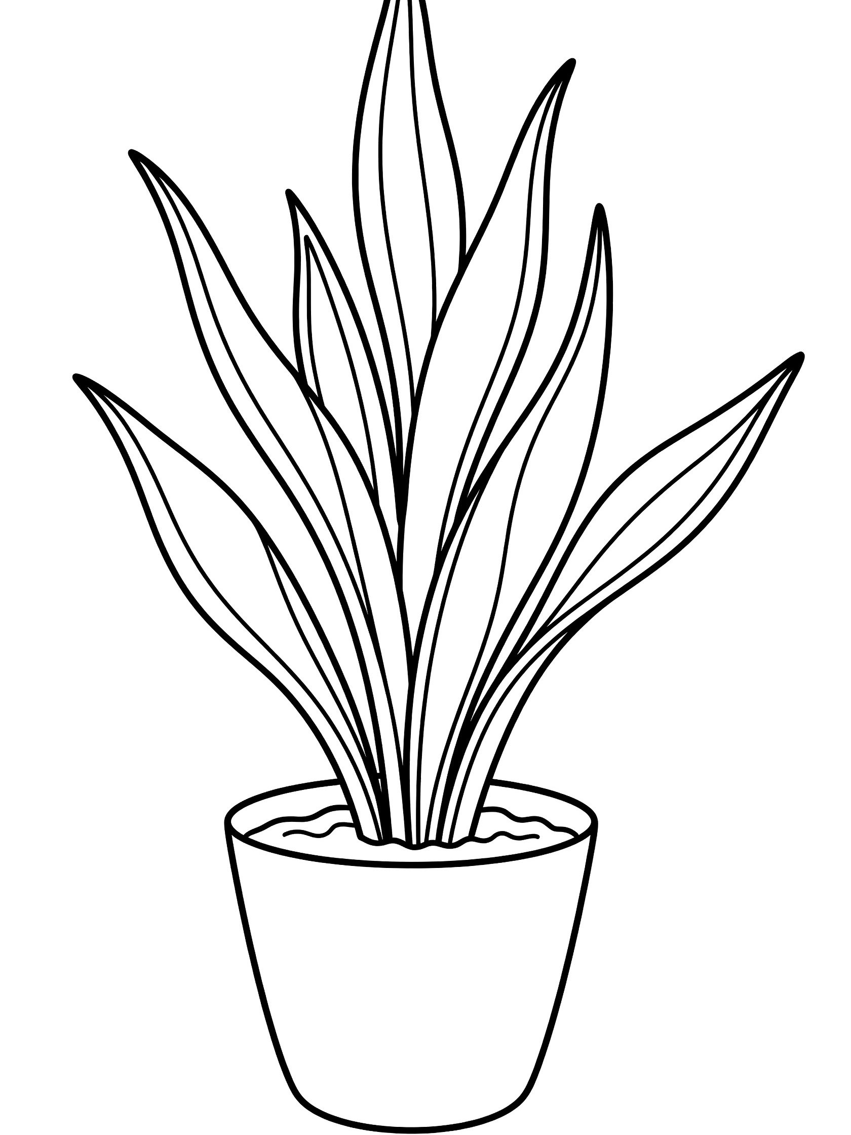 Black and white line drawing of a snake plant with tall, arching leaves in a round pot, printable coloring page