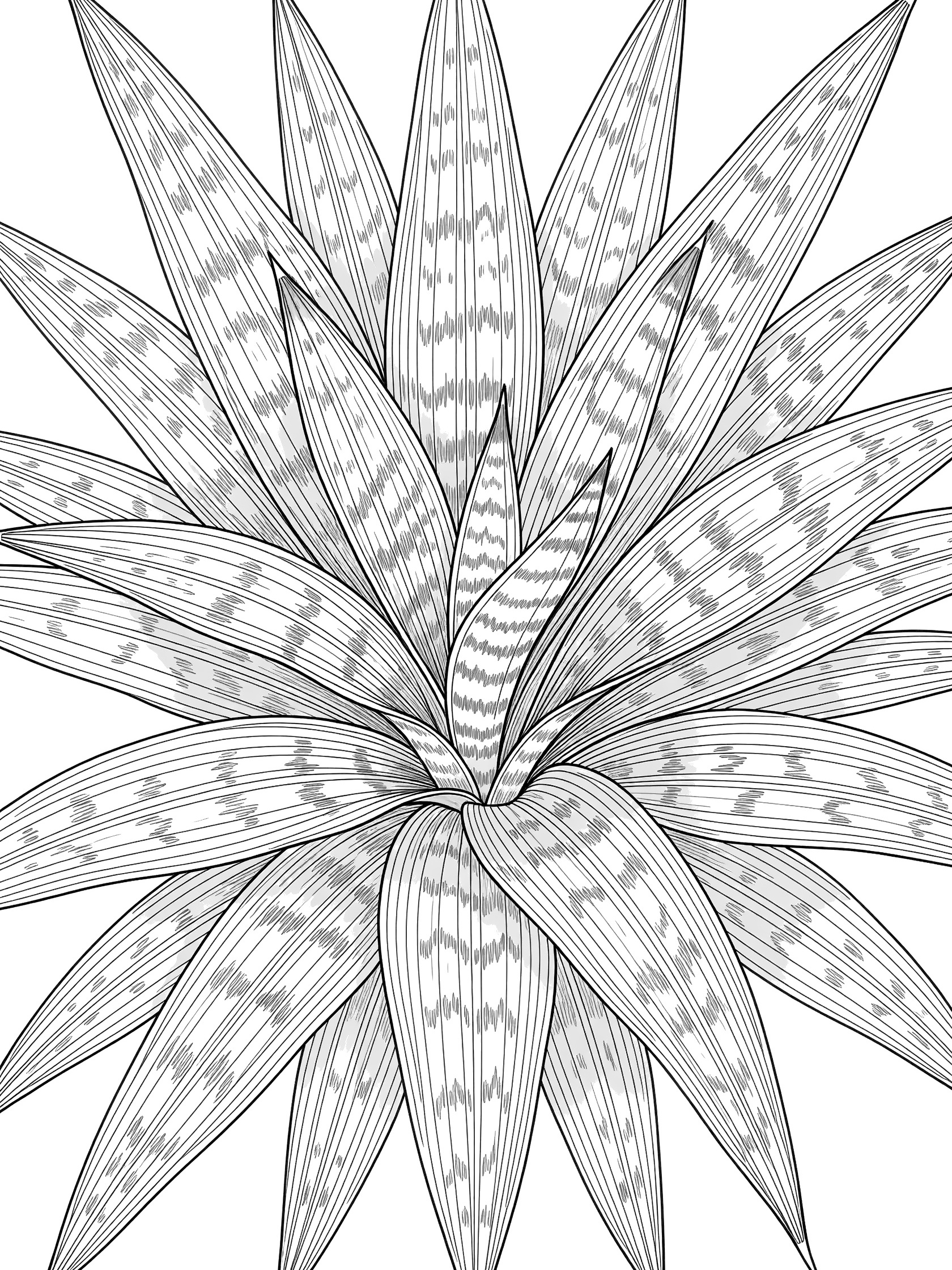 Close-up coloring page of snake plant leaves with intricate stripes and patterns arranged symmetrically