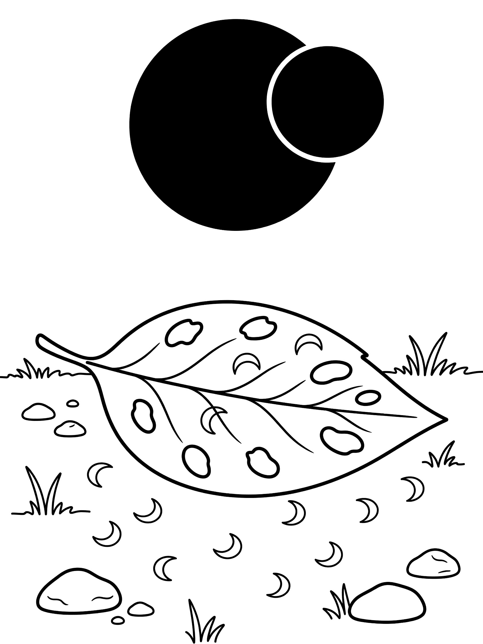 Black and white line art coloring page showing a large solar eclipse in the sky above a leaf with holes projecting small eclipse images onto the ground surrounded by grass and pebbles.