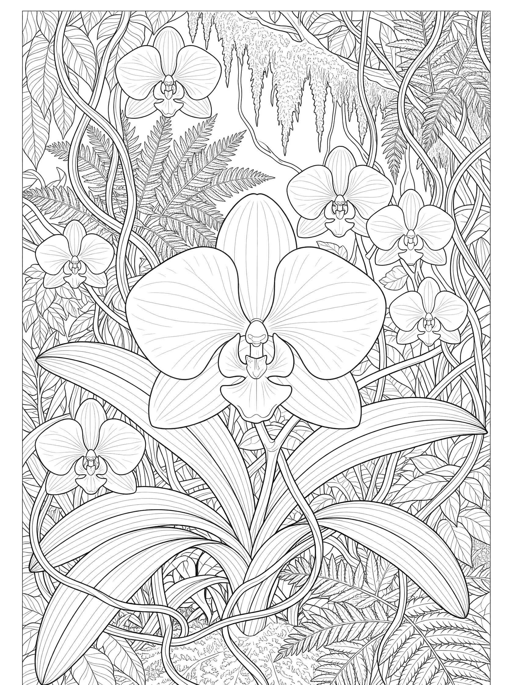Black-and-white line art coloring page of a large blooming orchid from the South America jungle surrounded by vines, broad leaves, smaller orchids, ferns, and moss.