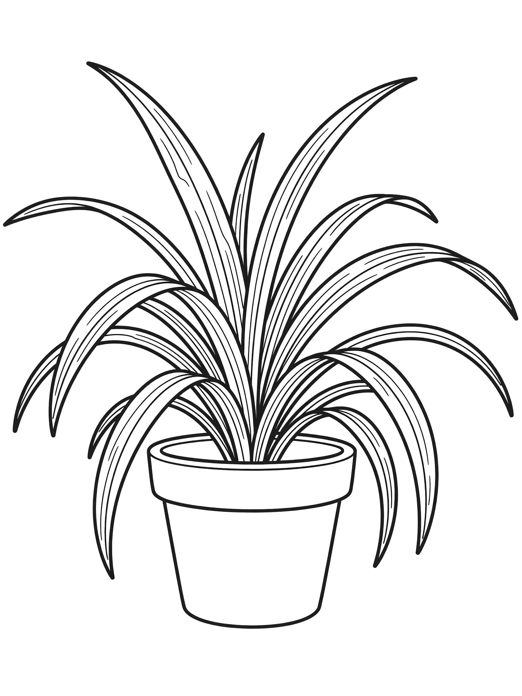 Black and white line art coloring page showing a cartoon spider plant with long curving leaves growing from a simple round pot.