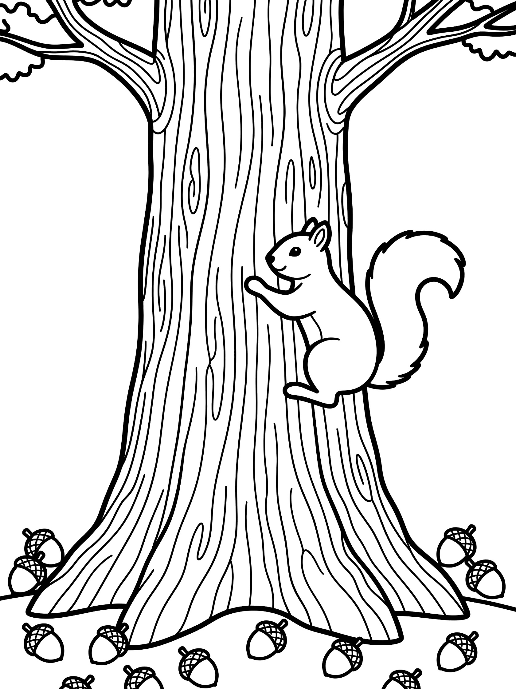 Black and white line art coloring page showing a squirrel climbing a tall tree trunk with scattered acorns on the ground. Sequoia Tree themed black and white printable line art