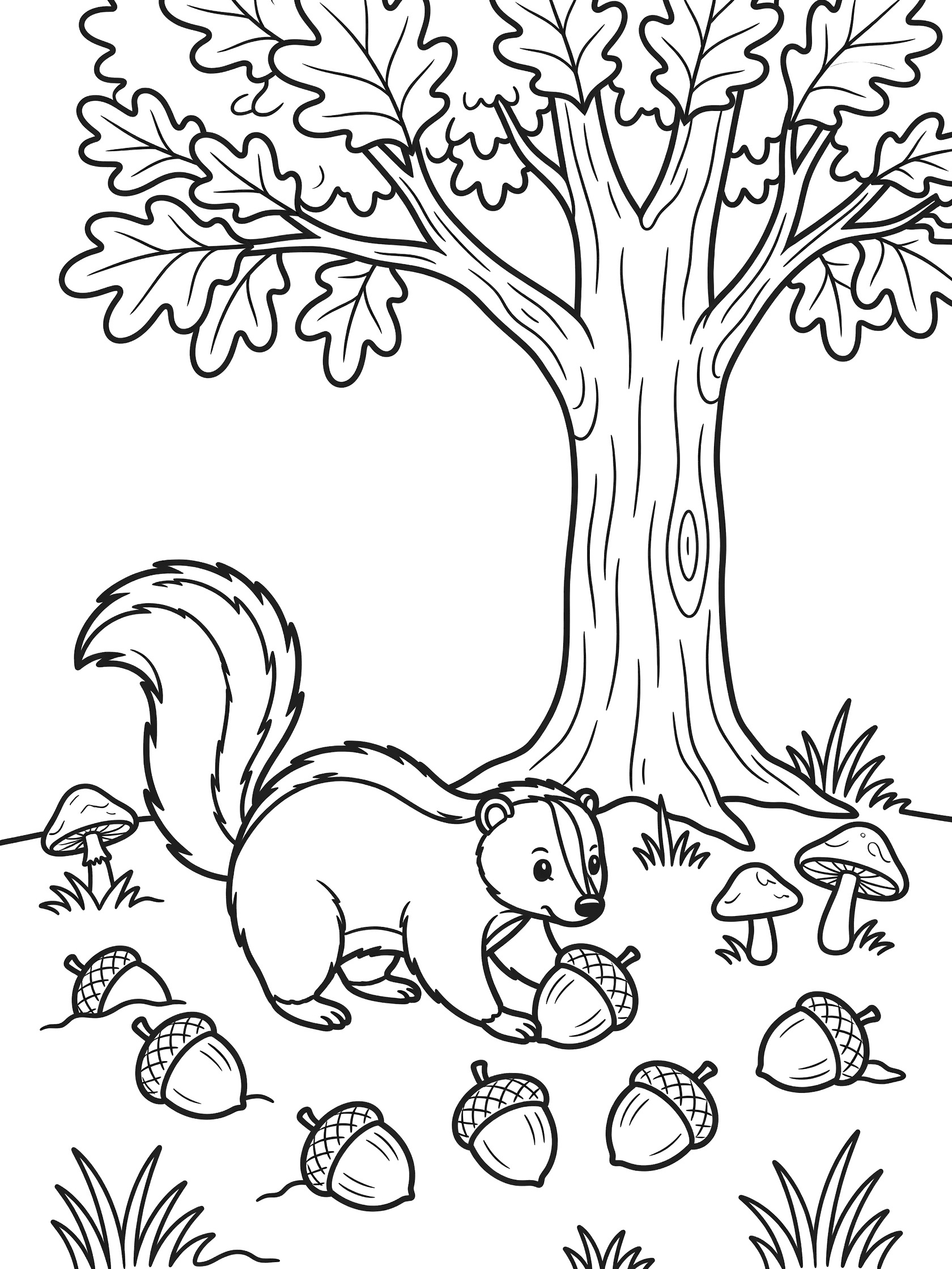 Black and white line art coloring page showing a squirrel with bushy tail holding an acorn, surrounded by more acorns on the ground, tall oak tree with leaves, grass tufts, and mushrooms. Skunk themed black and white printable line art