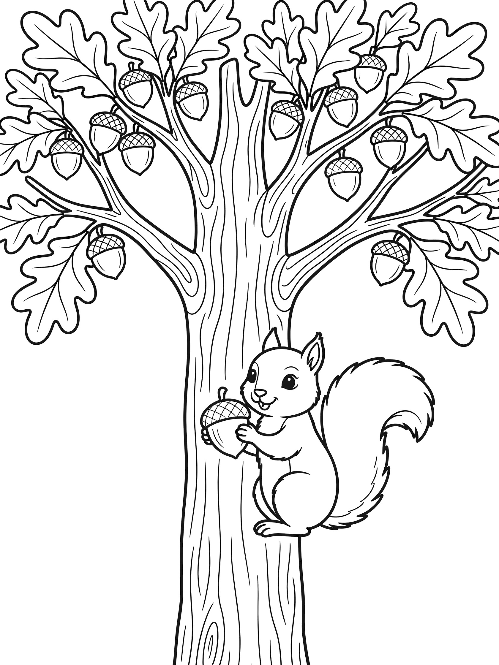 Black and white line art coloring page showing a squirrel with big eyes and fluffy tail on a tree trunk holding an acorn, oak branches with broad leaves and acorns above.